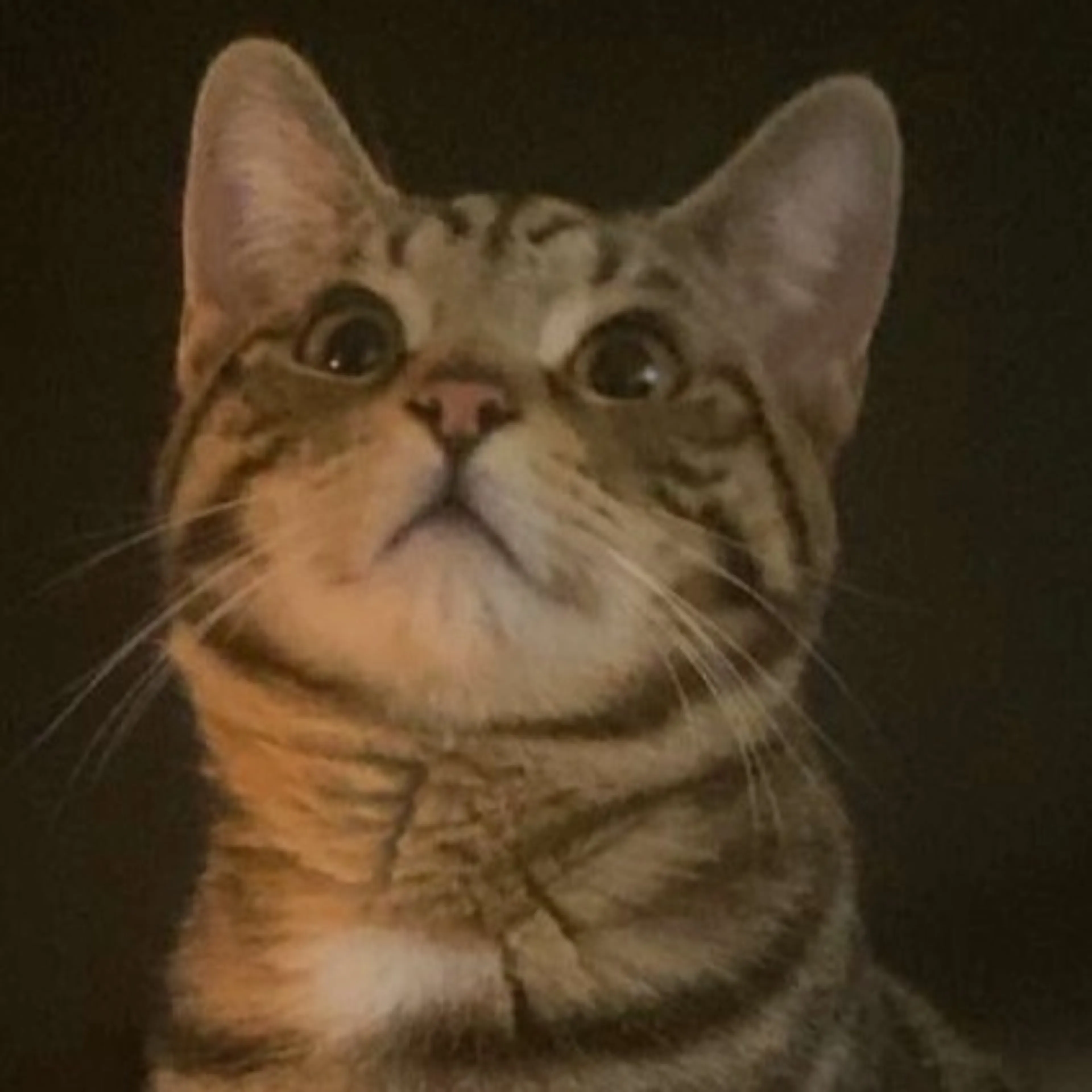 -0