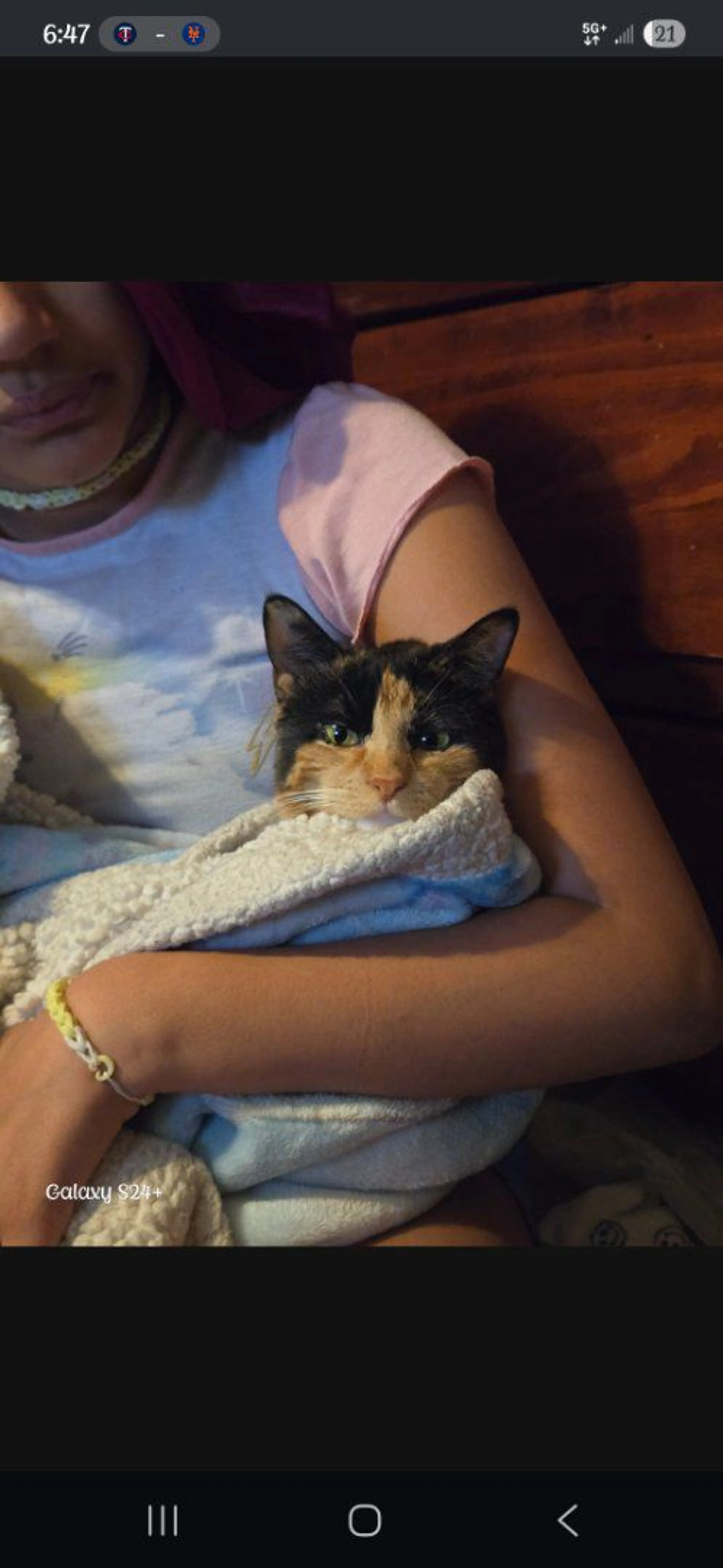 Lost pet-1