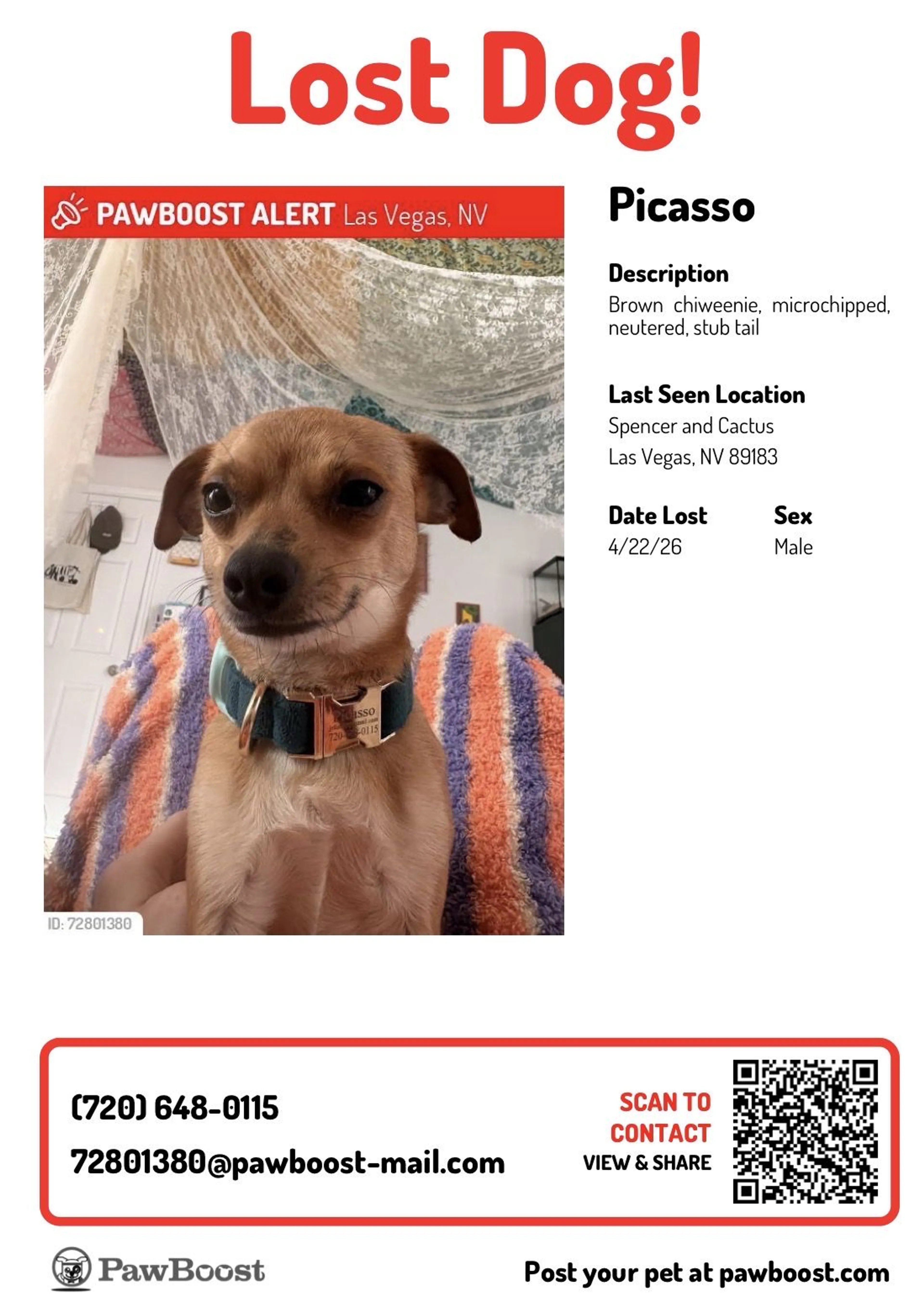 Lost pet
