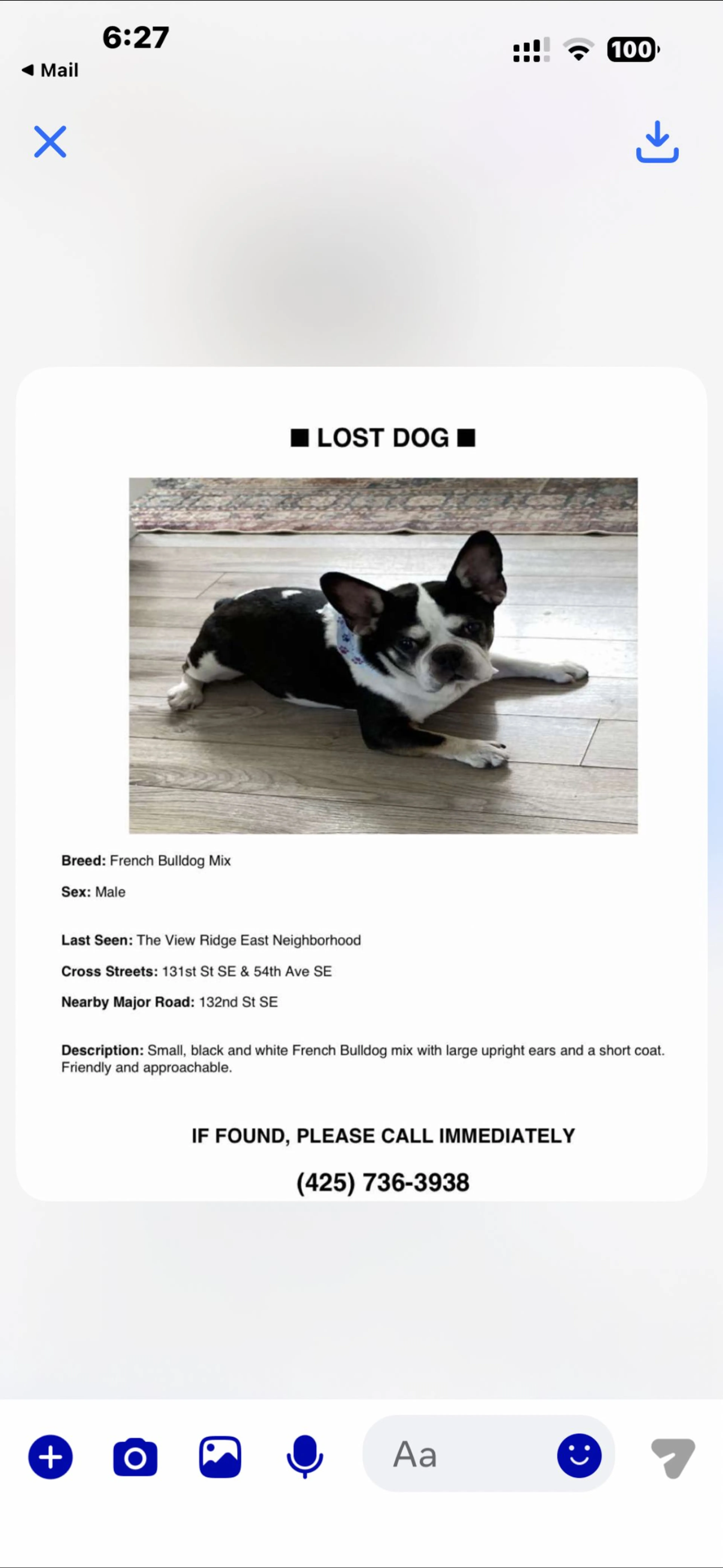 Lost pet