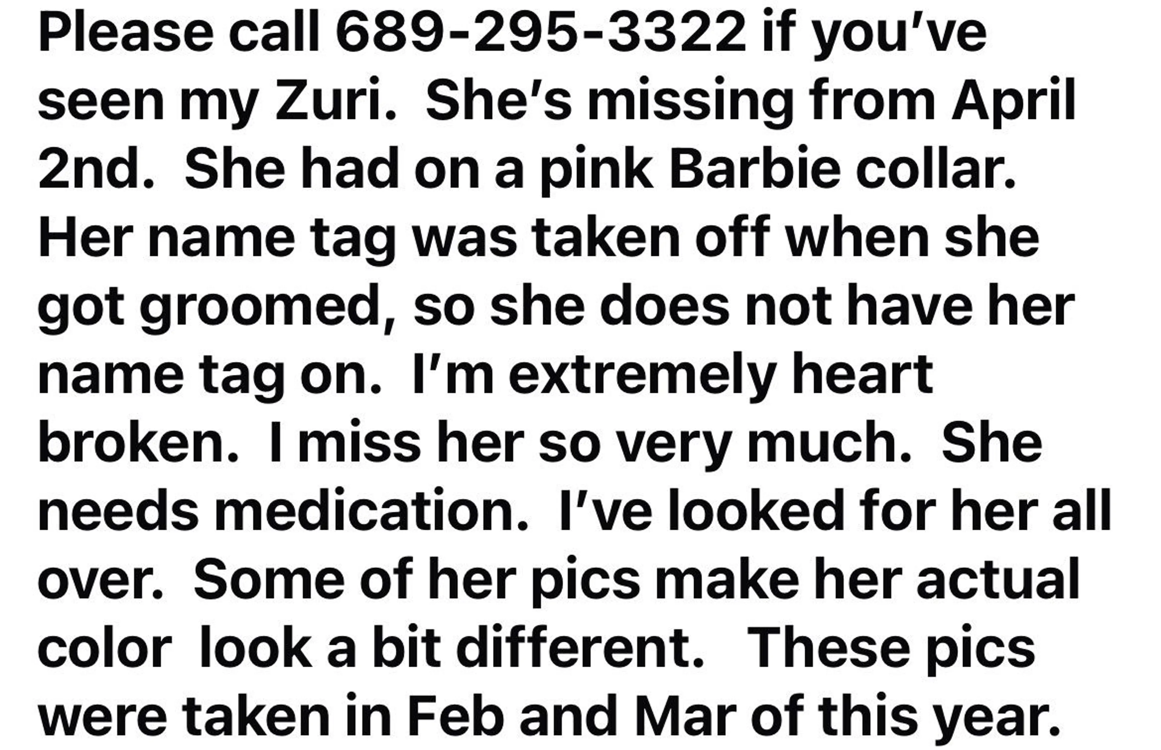 Lost pet-1