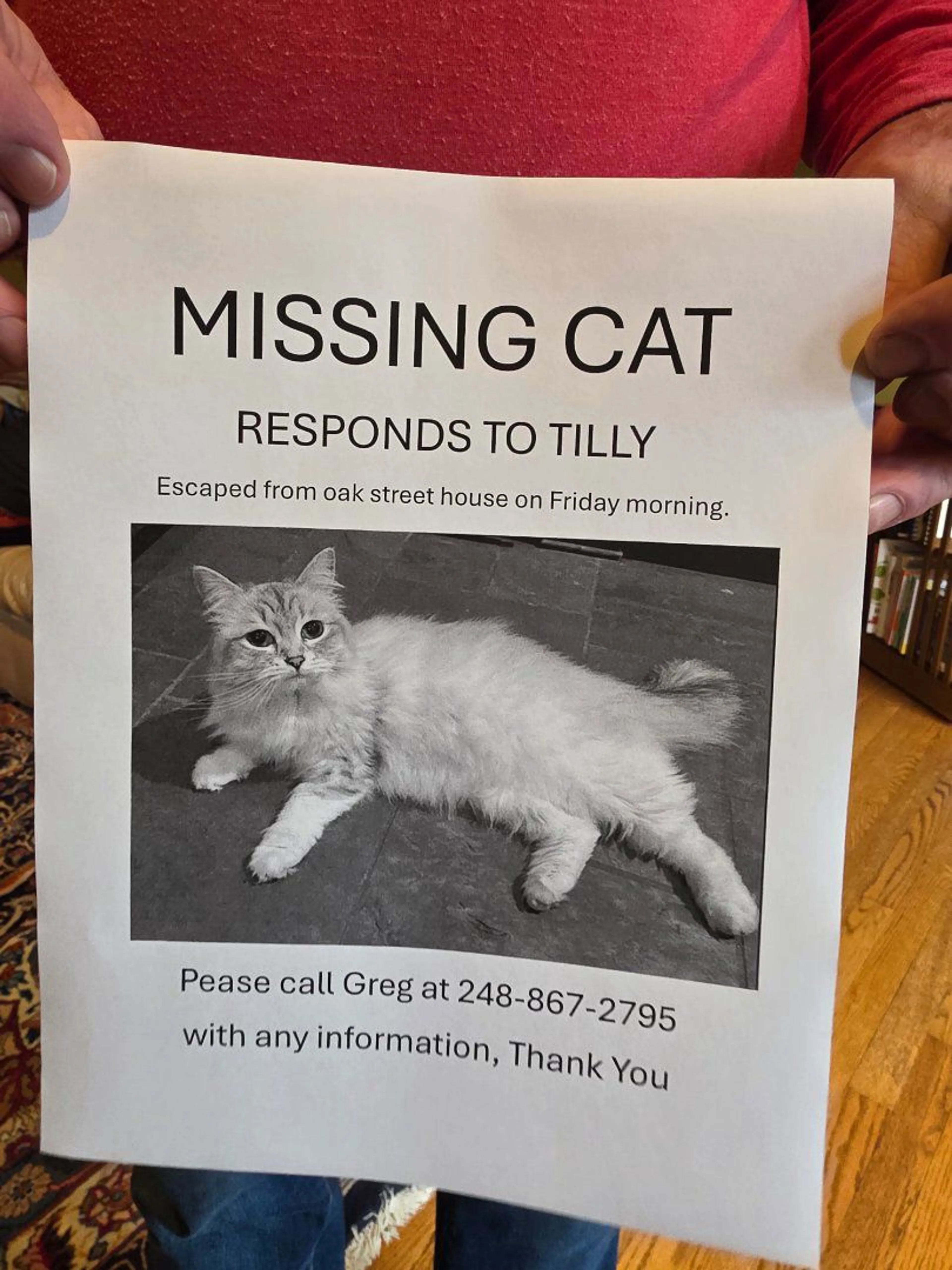 Lost pet