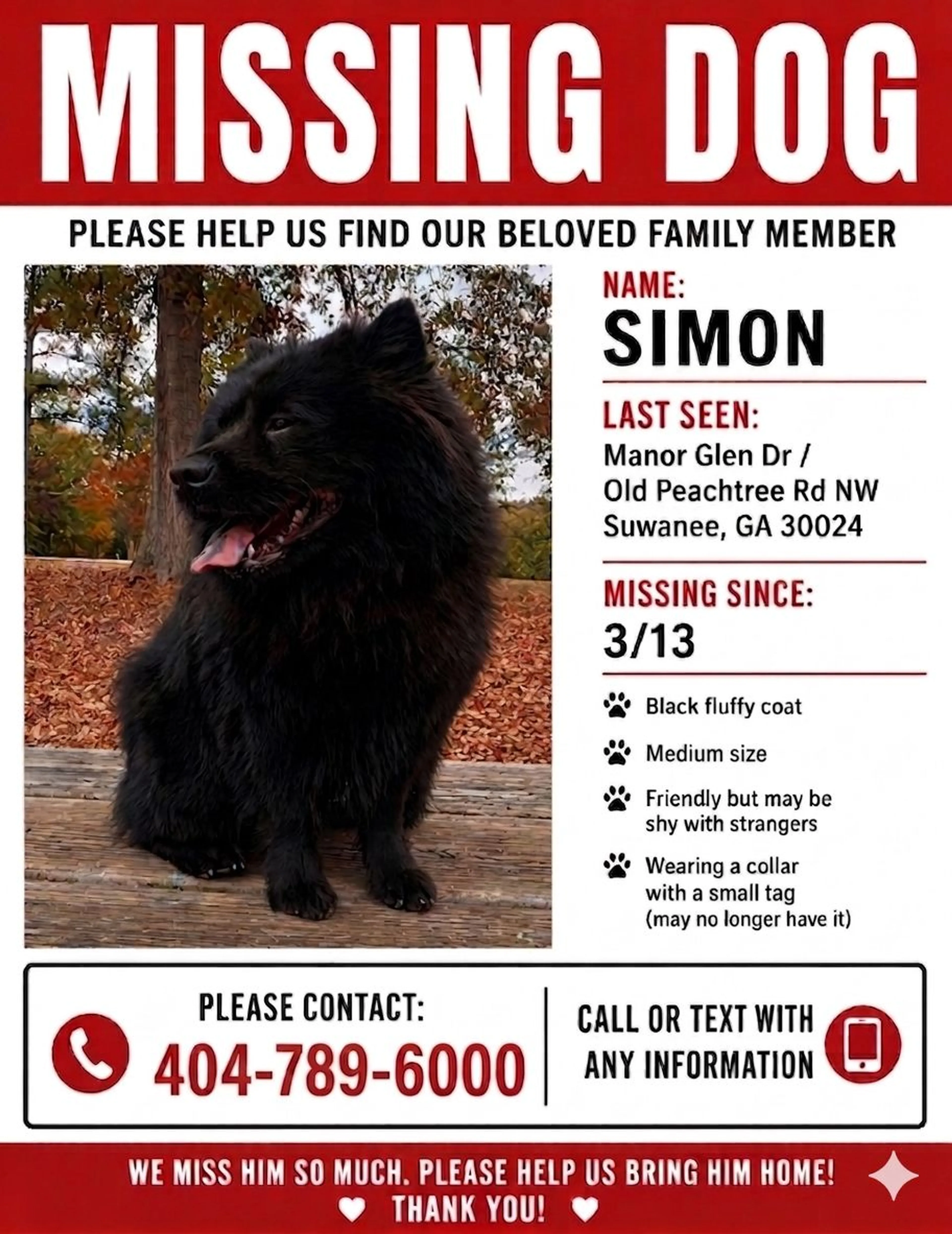 Lost pet