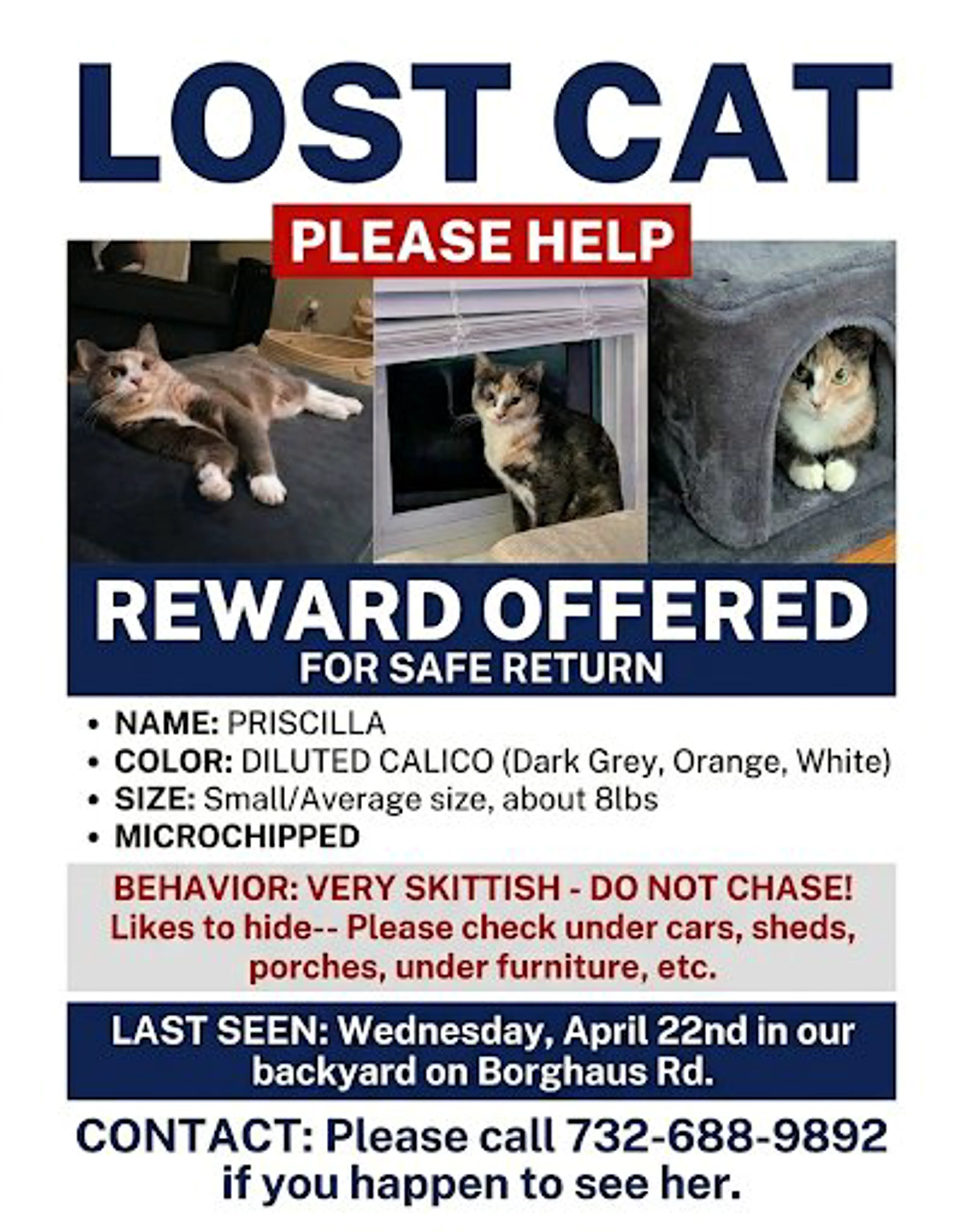 Lost pet