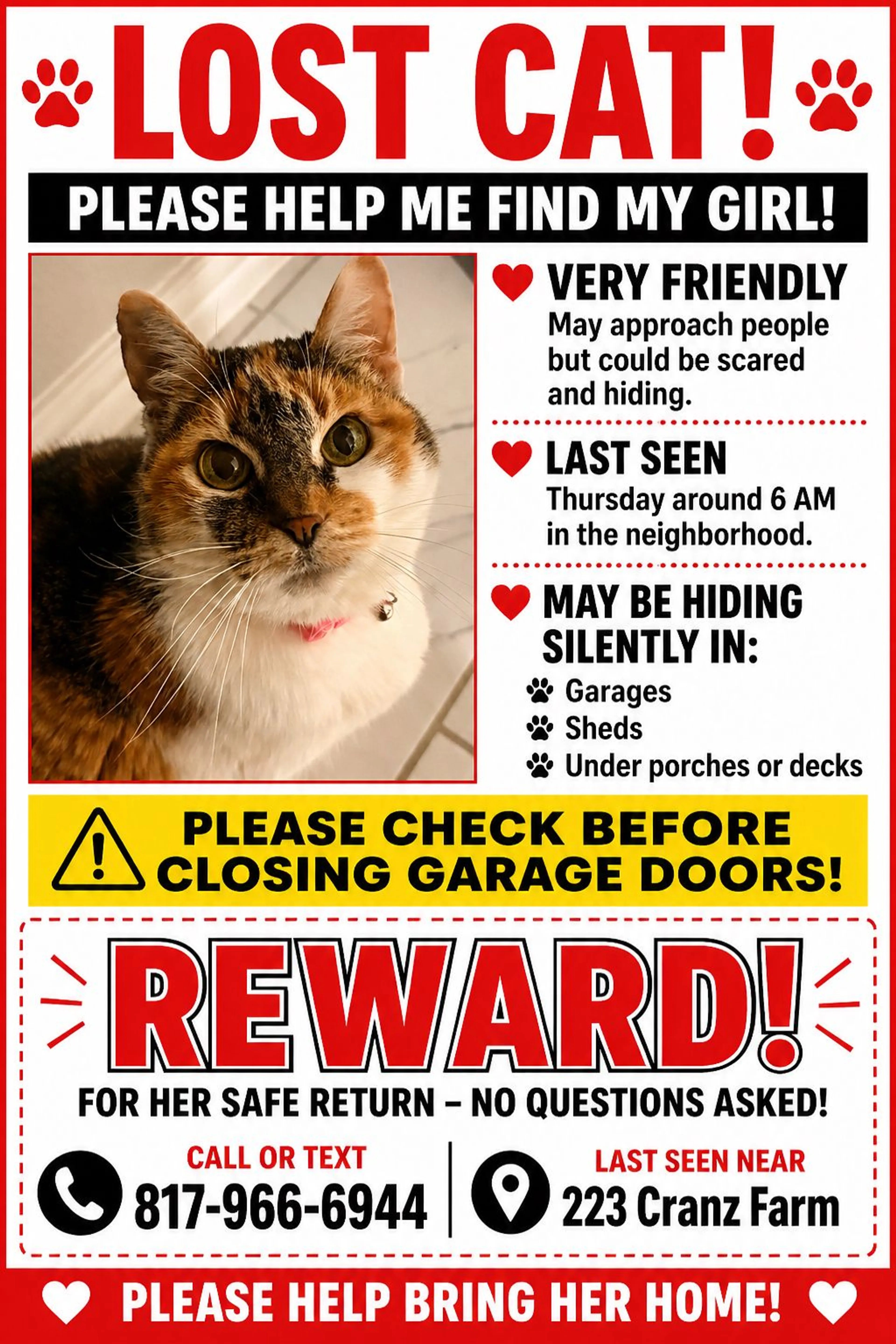 Lost pet
