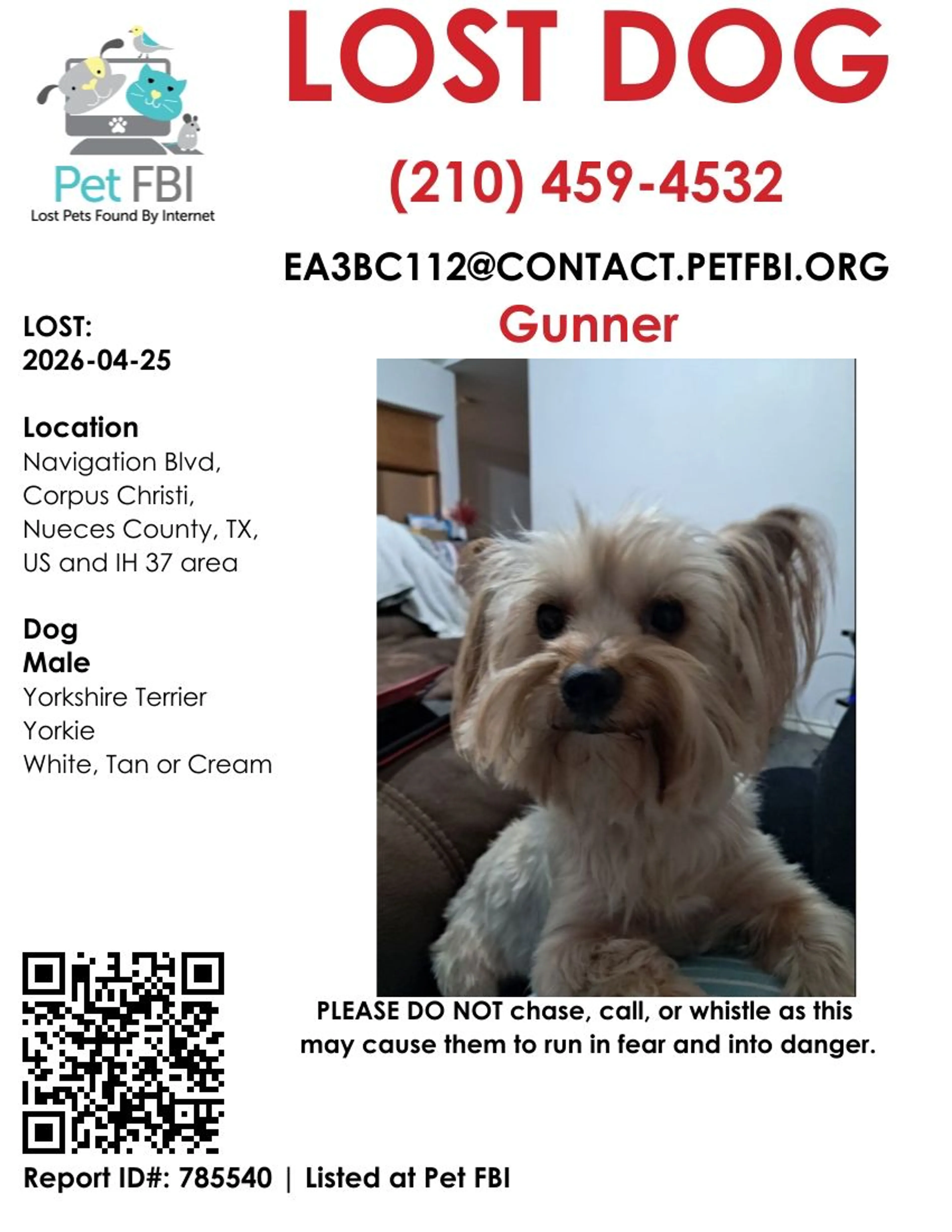 Lost pet-0