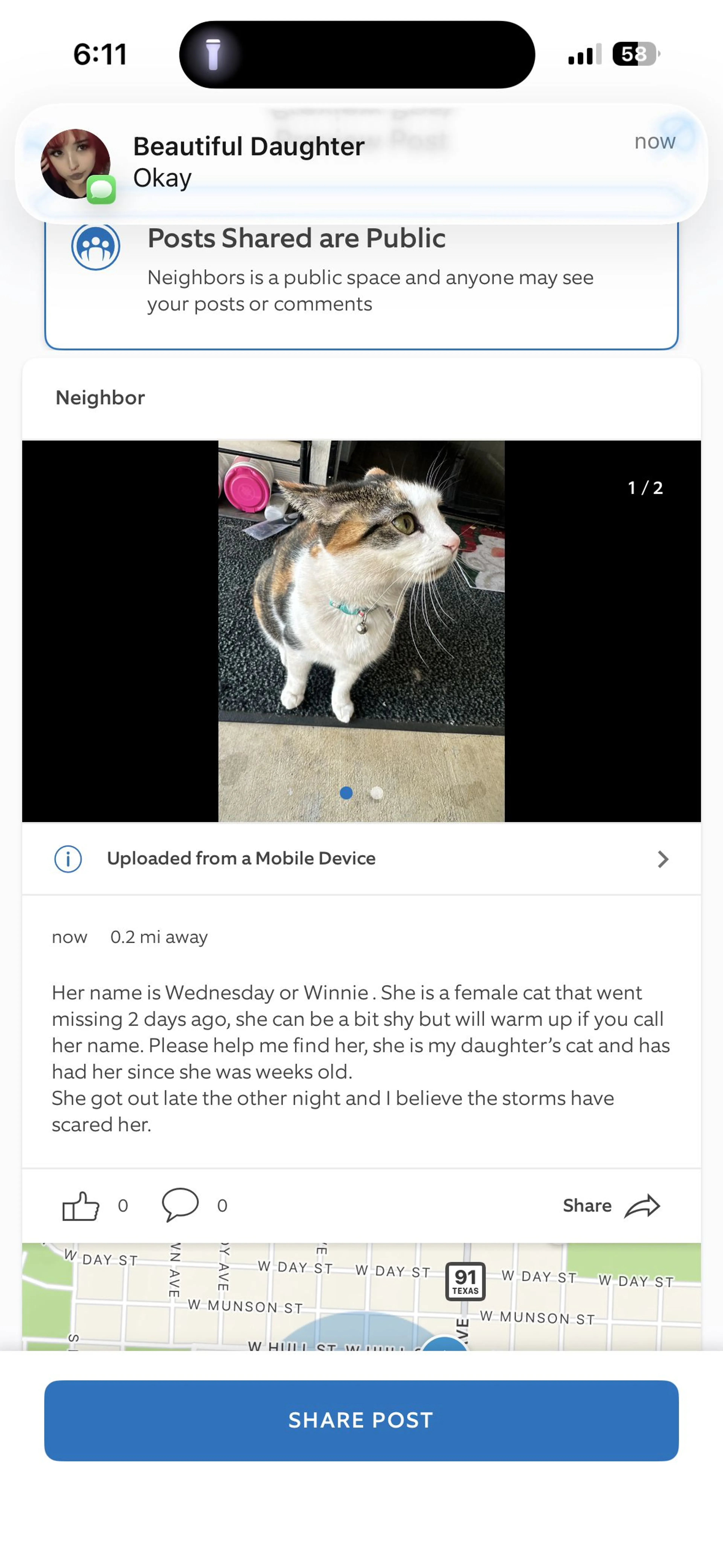 Lost pet