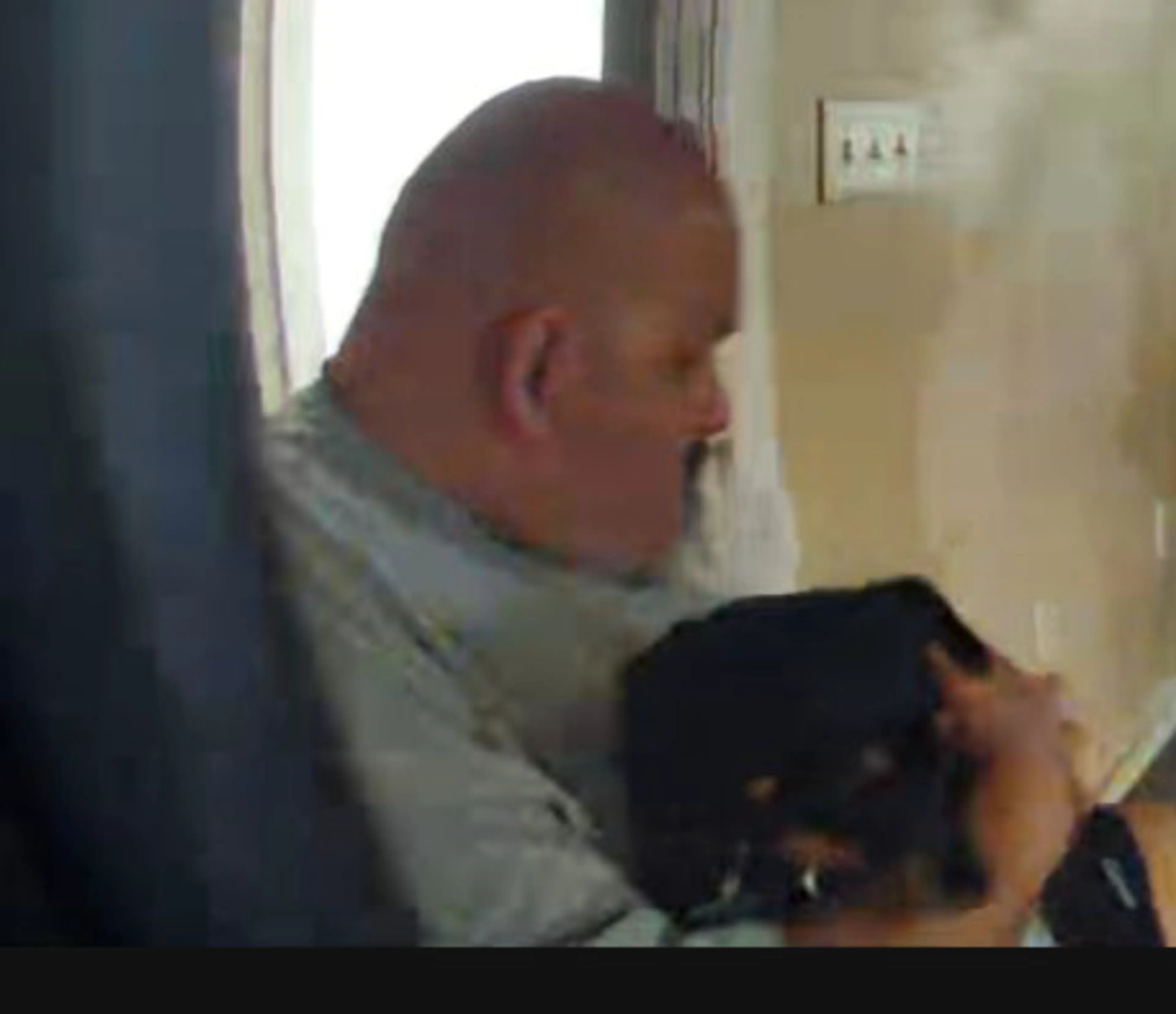 Lost pet-4