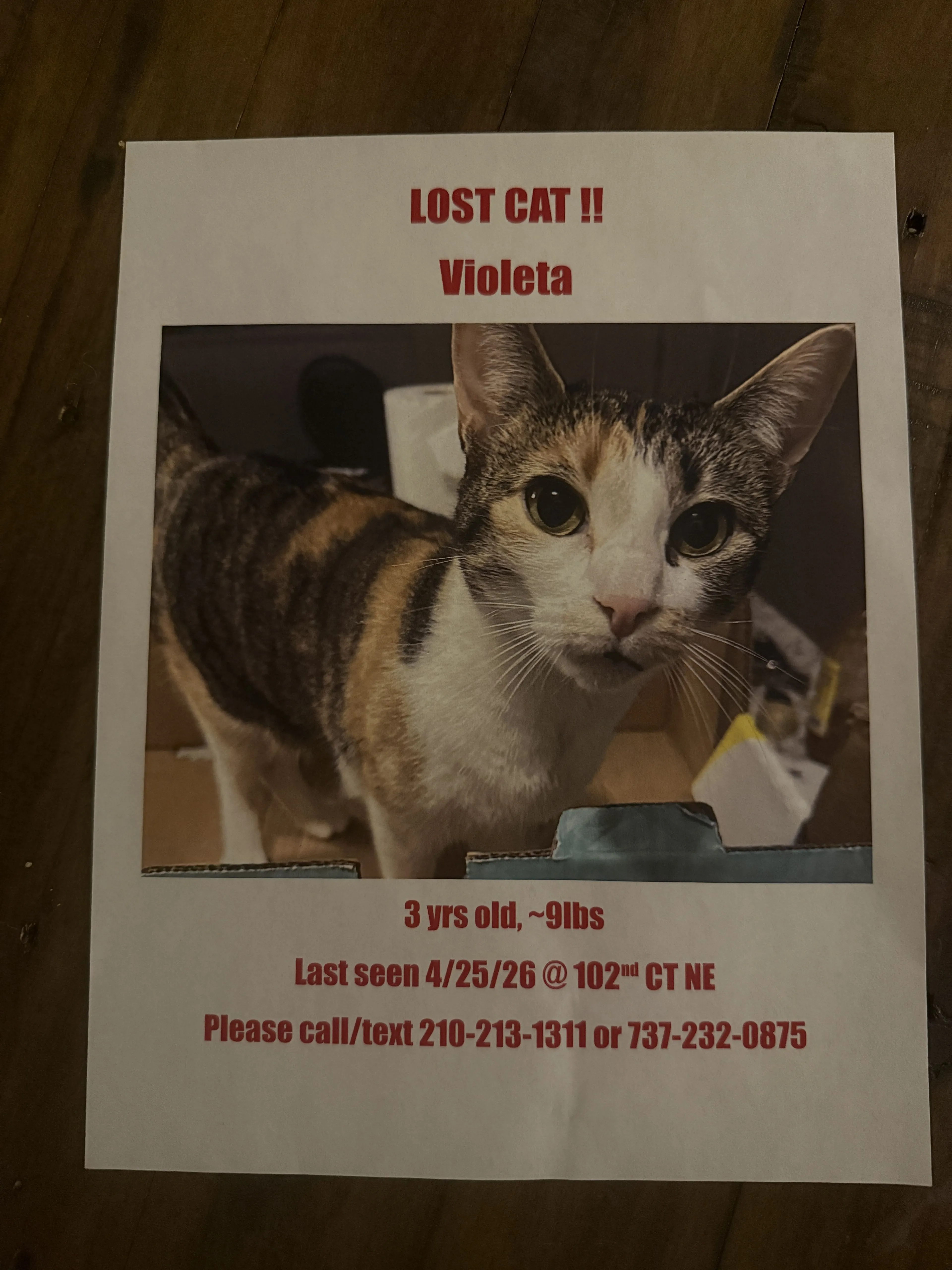 Lost pet