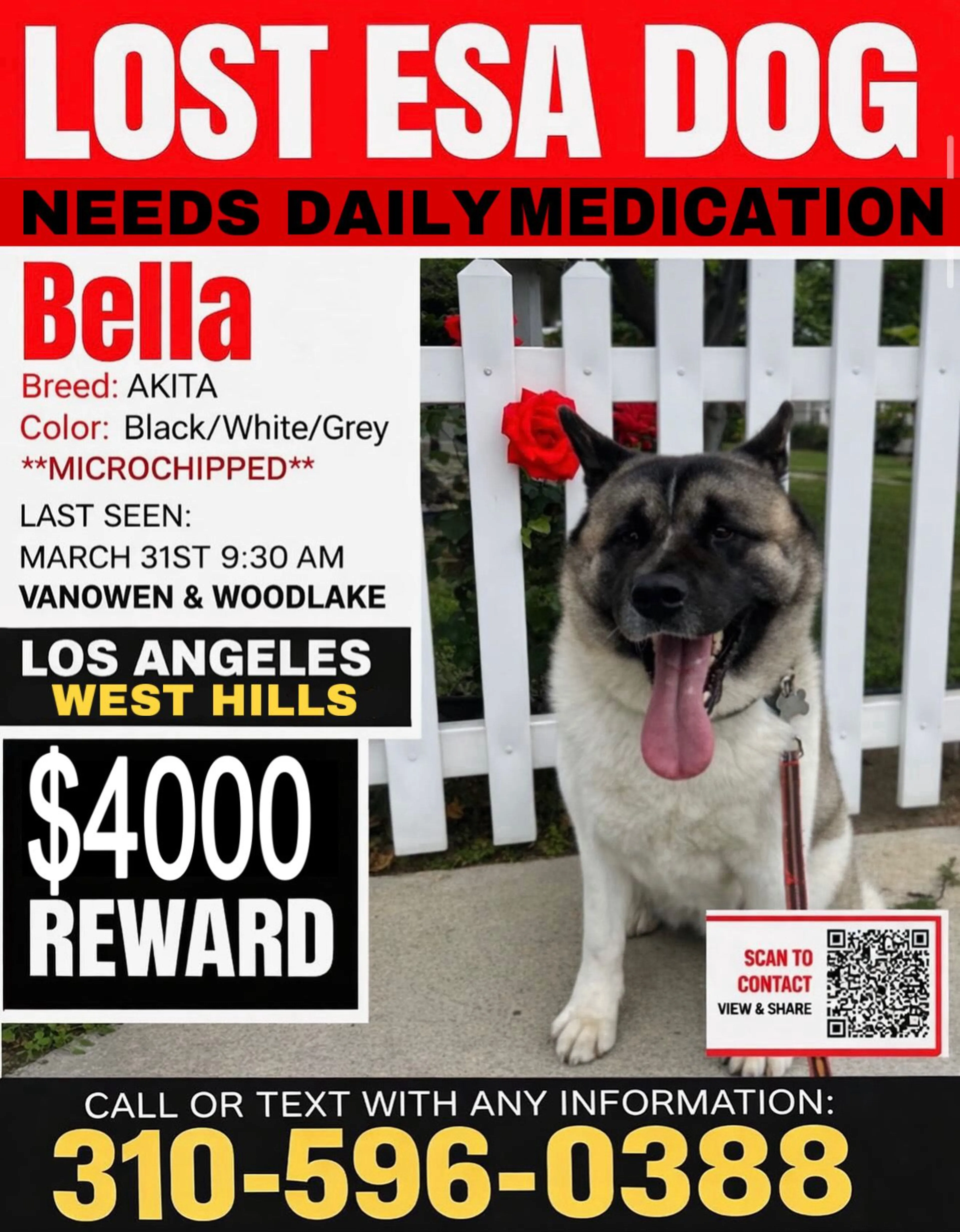Lost pet