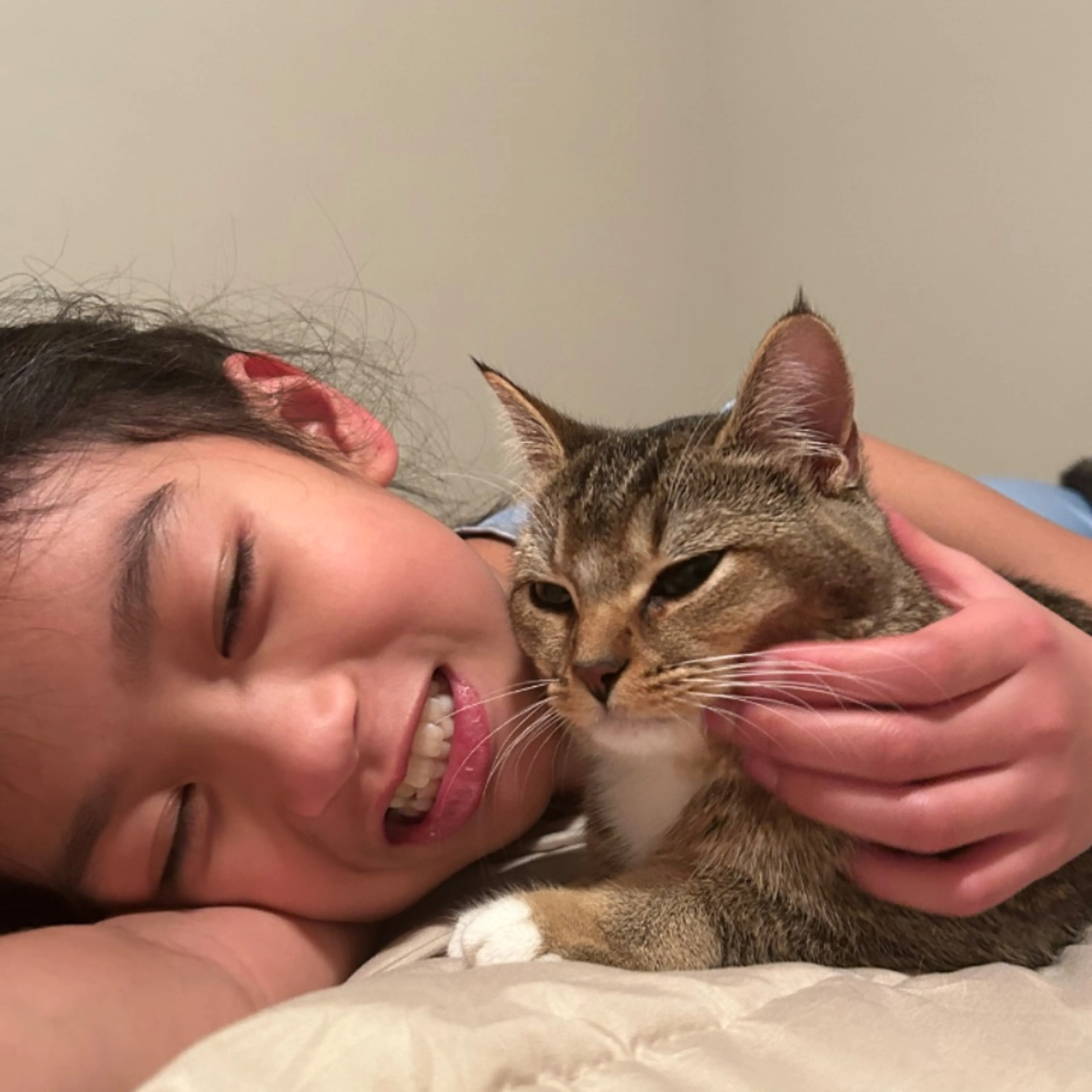 Lost pet-0