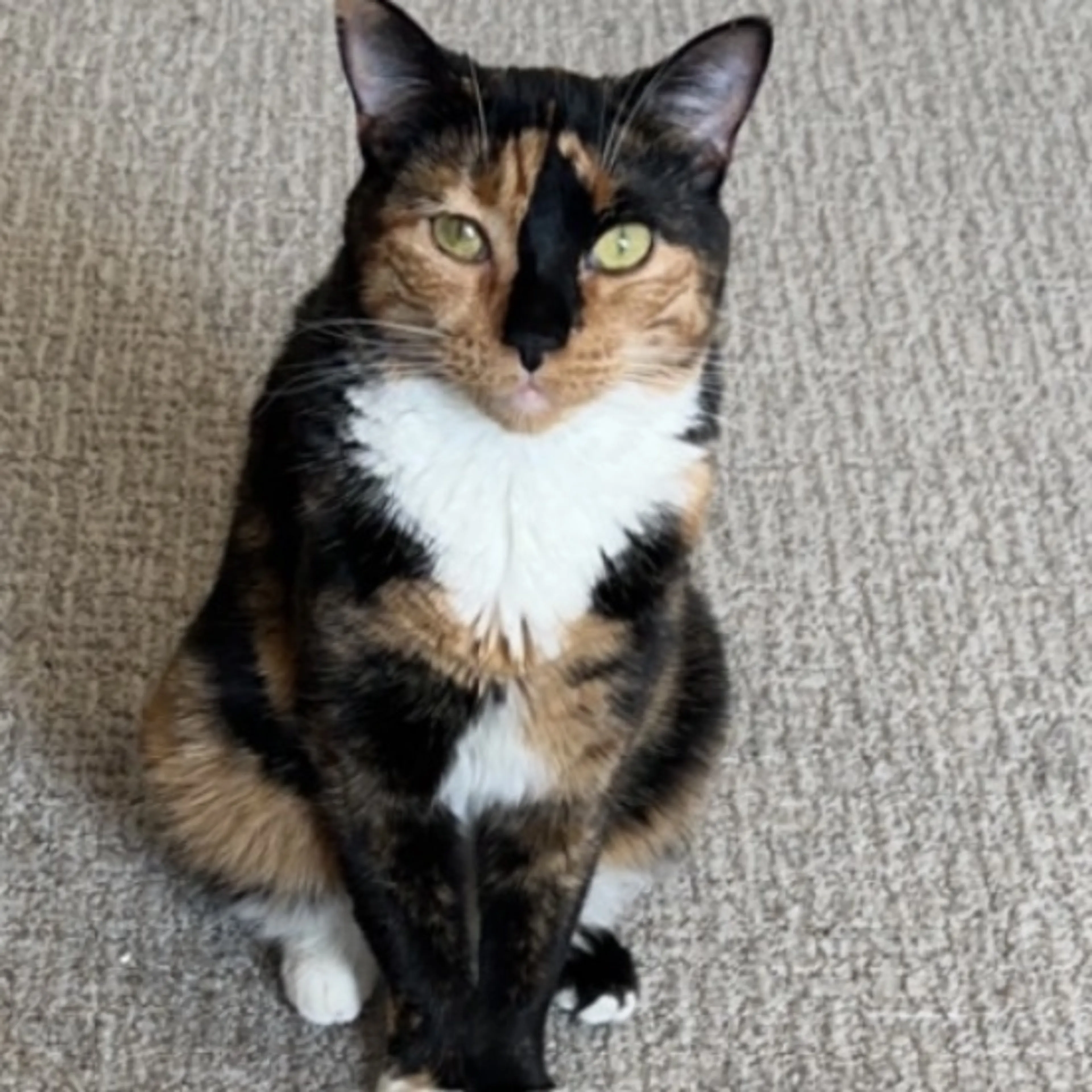 -0