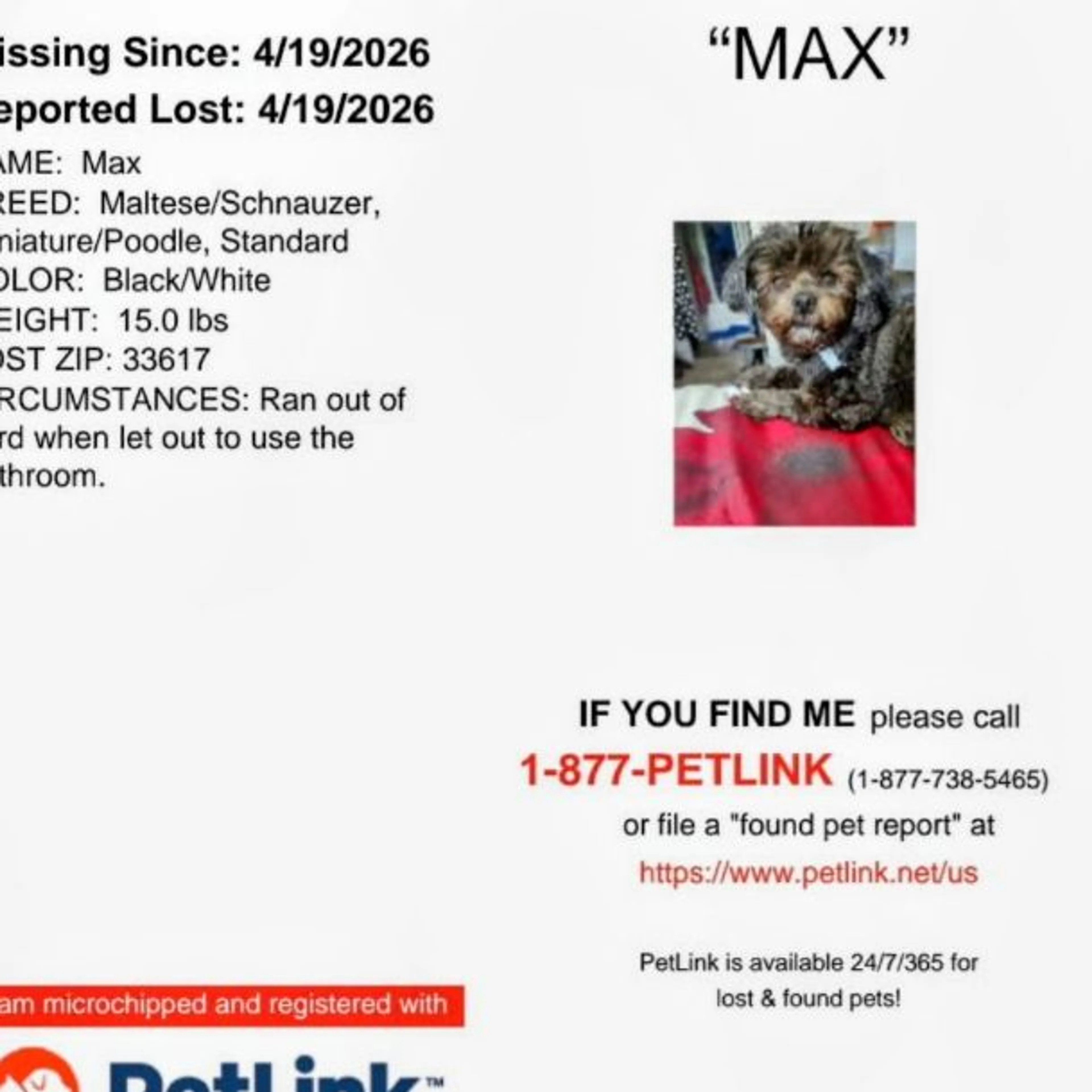 Lost pet