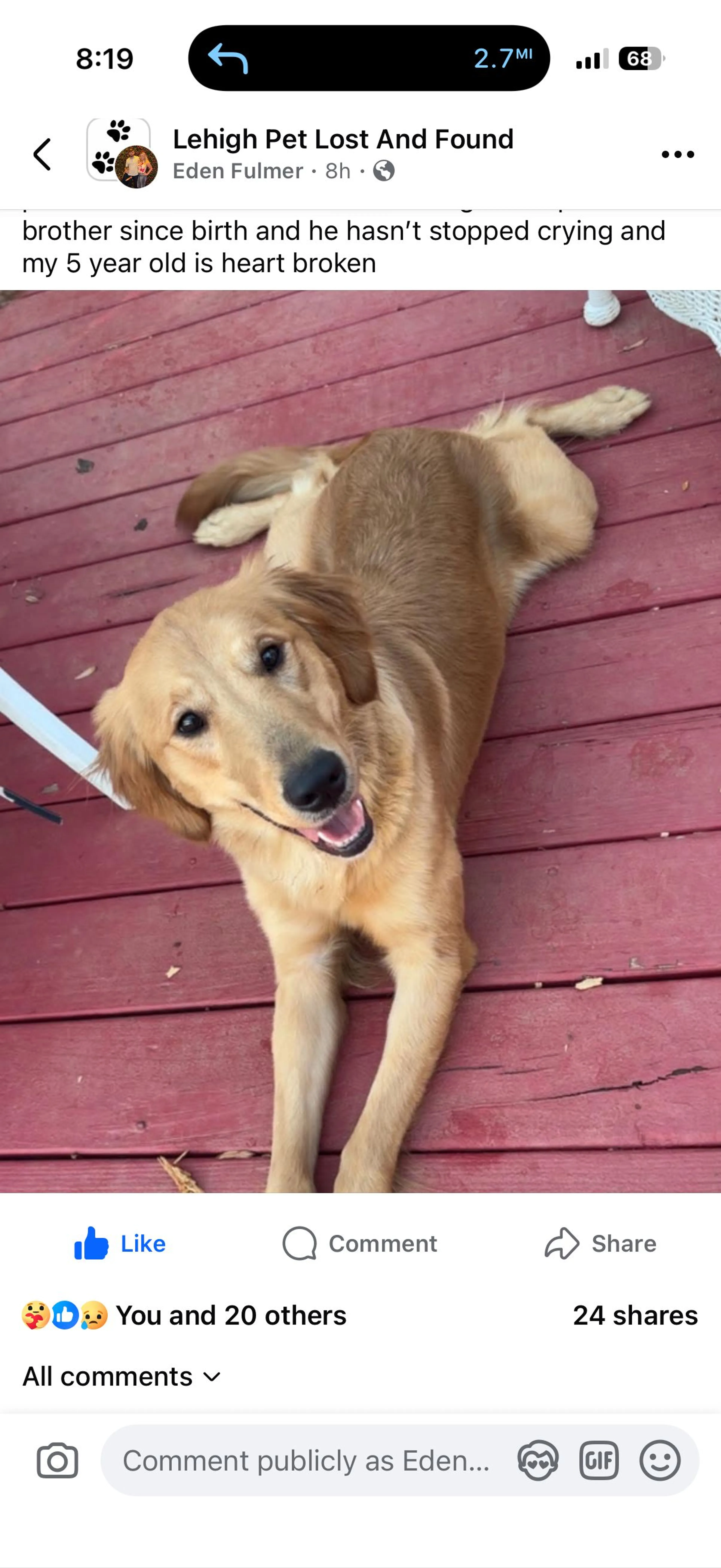 Lost pet