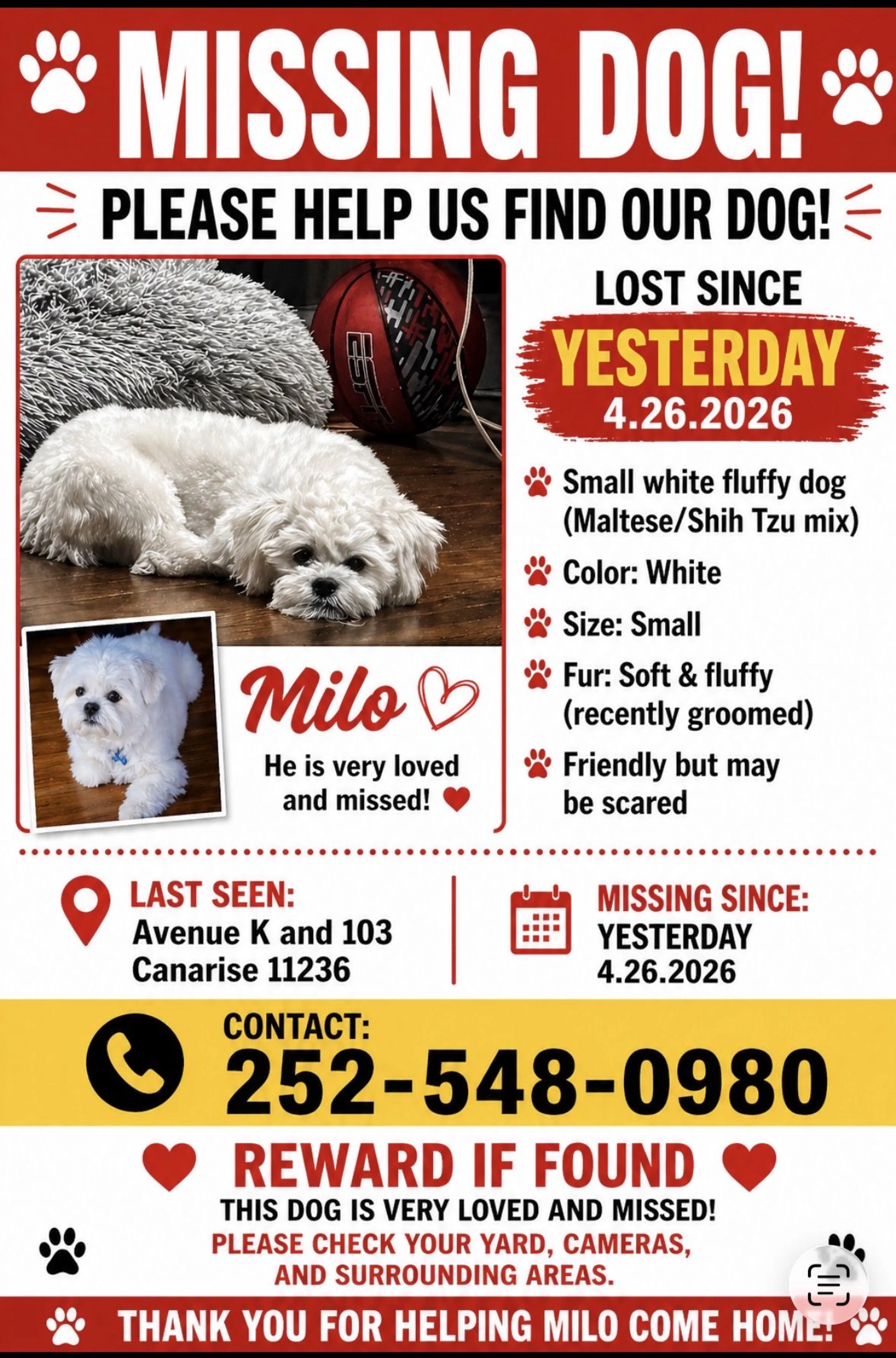 Lost pet-1