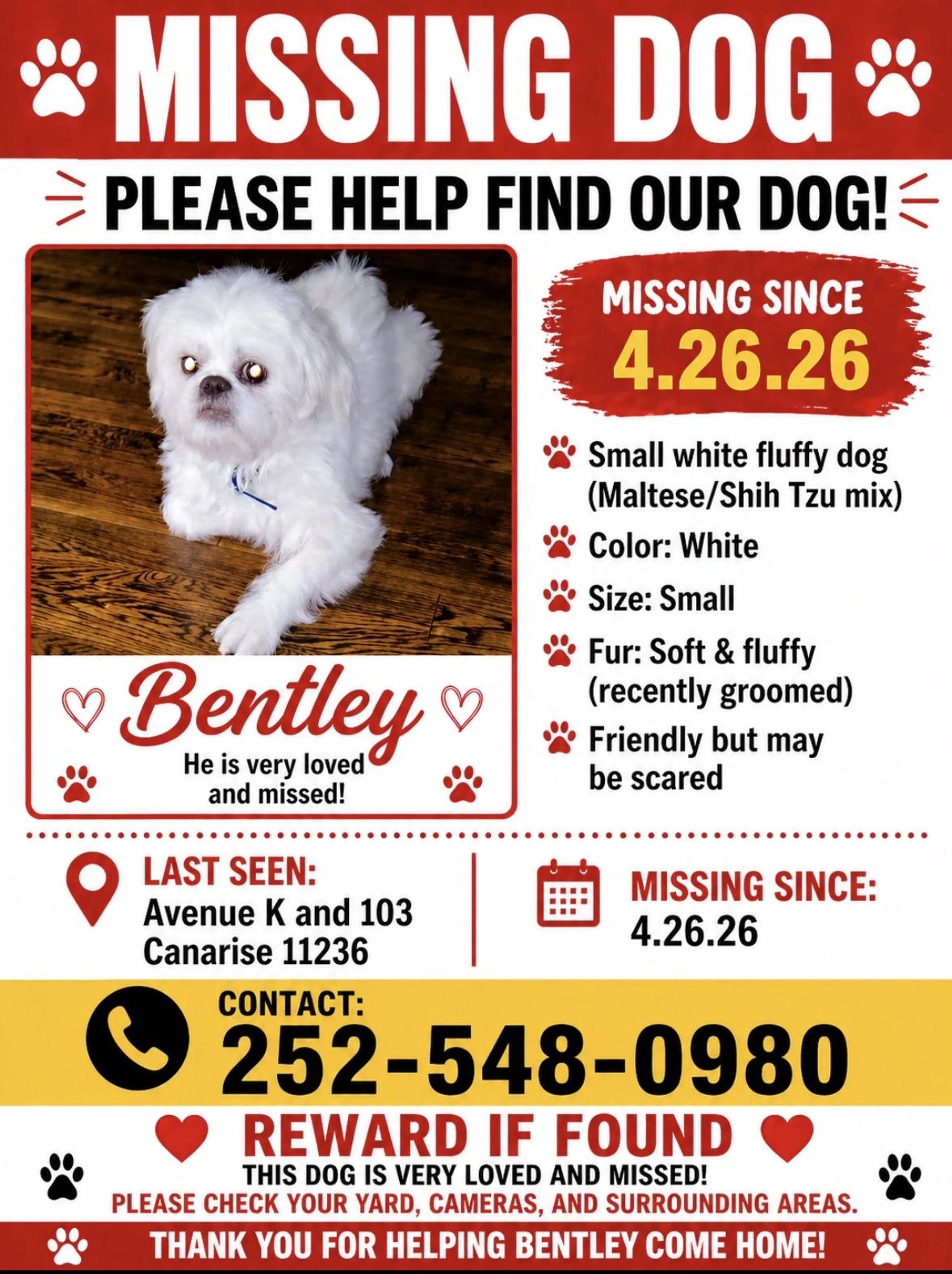 Lost pet-0