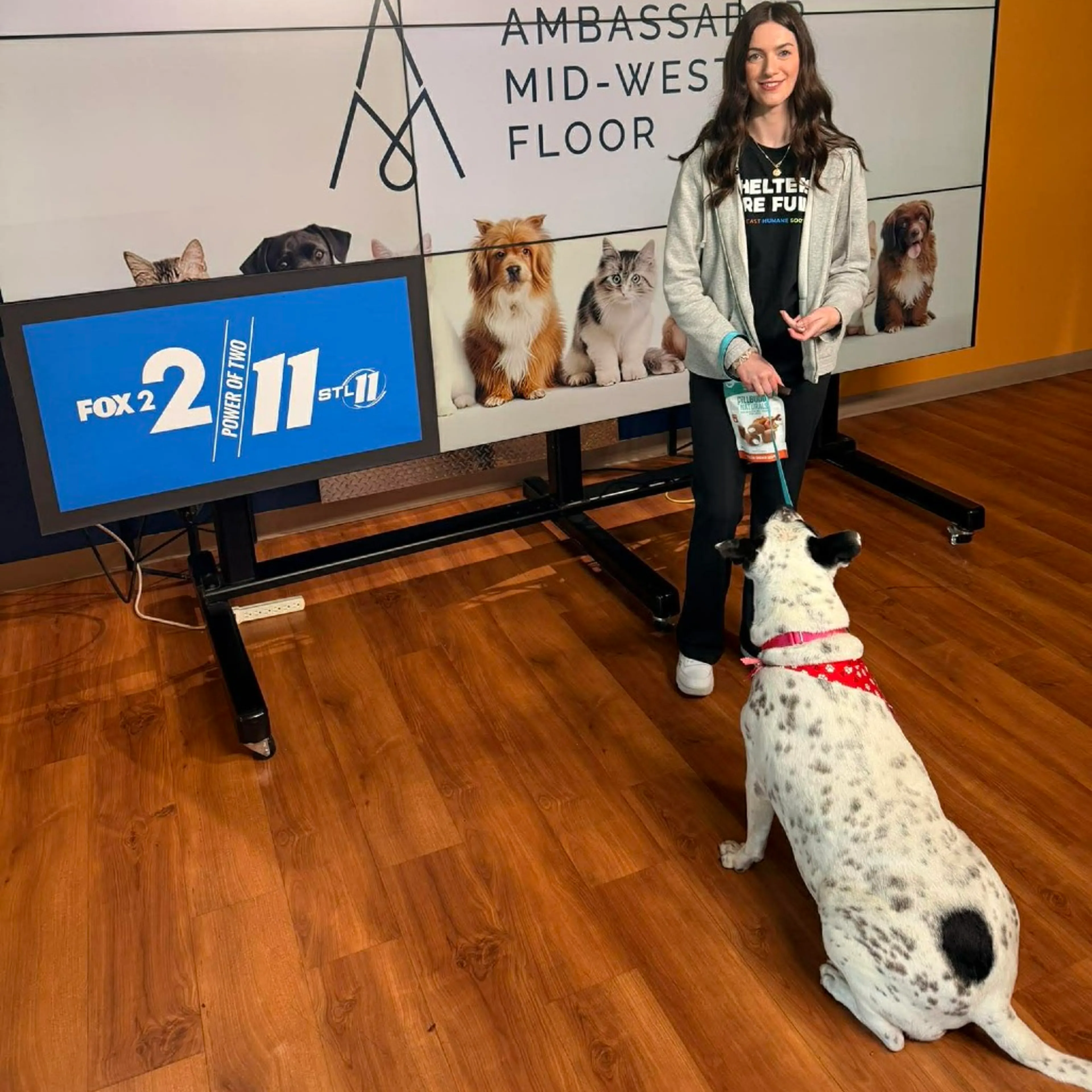 -24