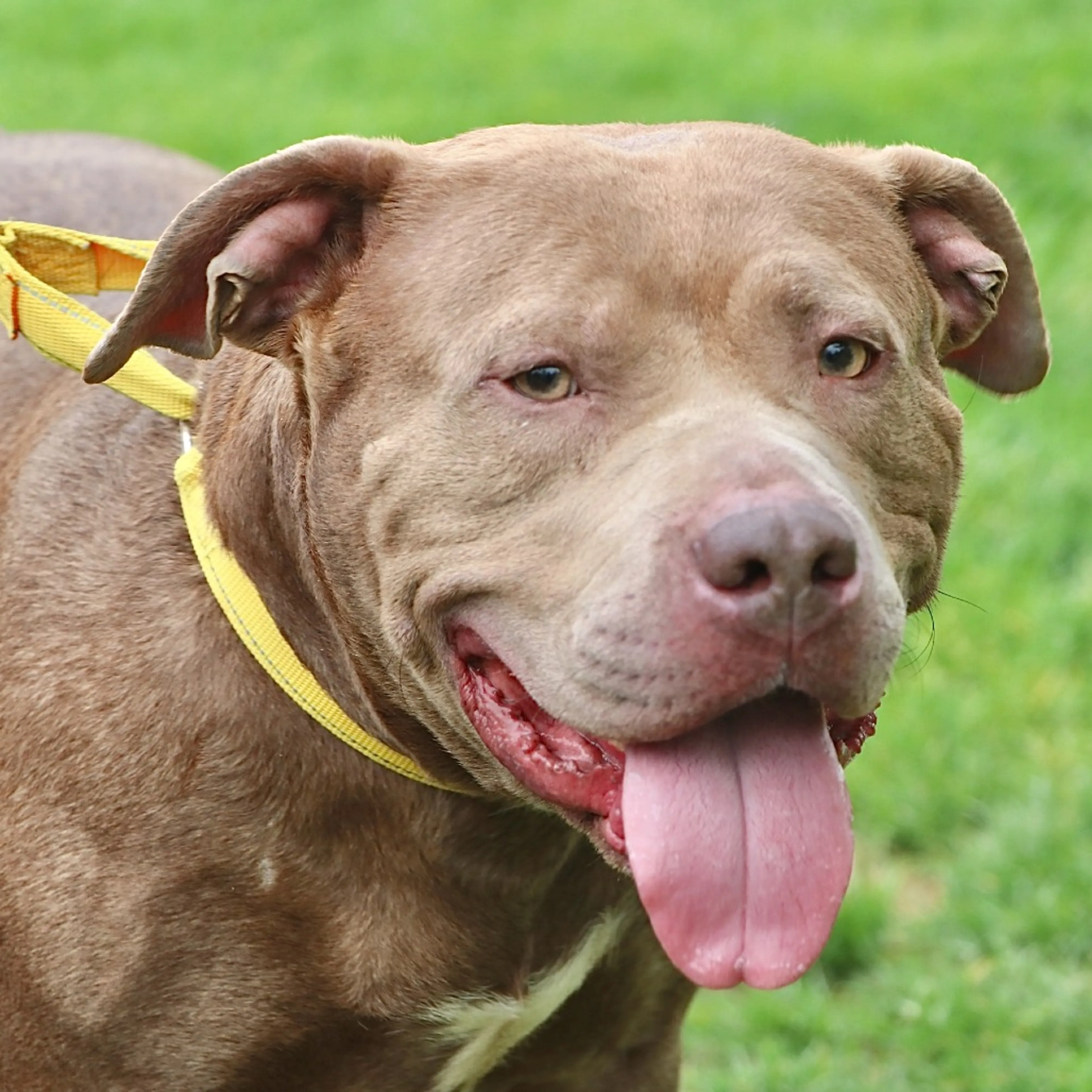 -6