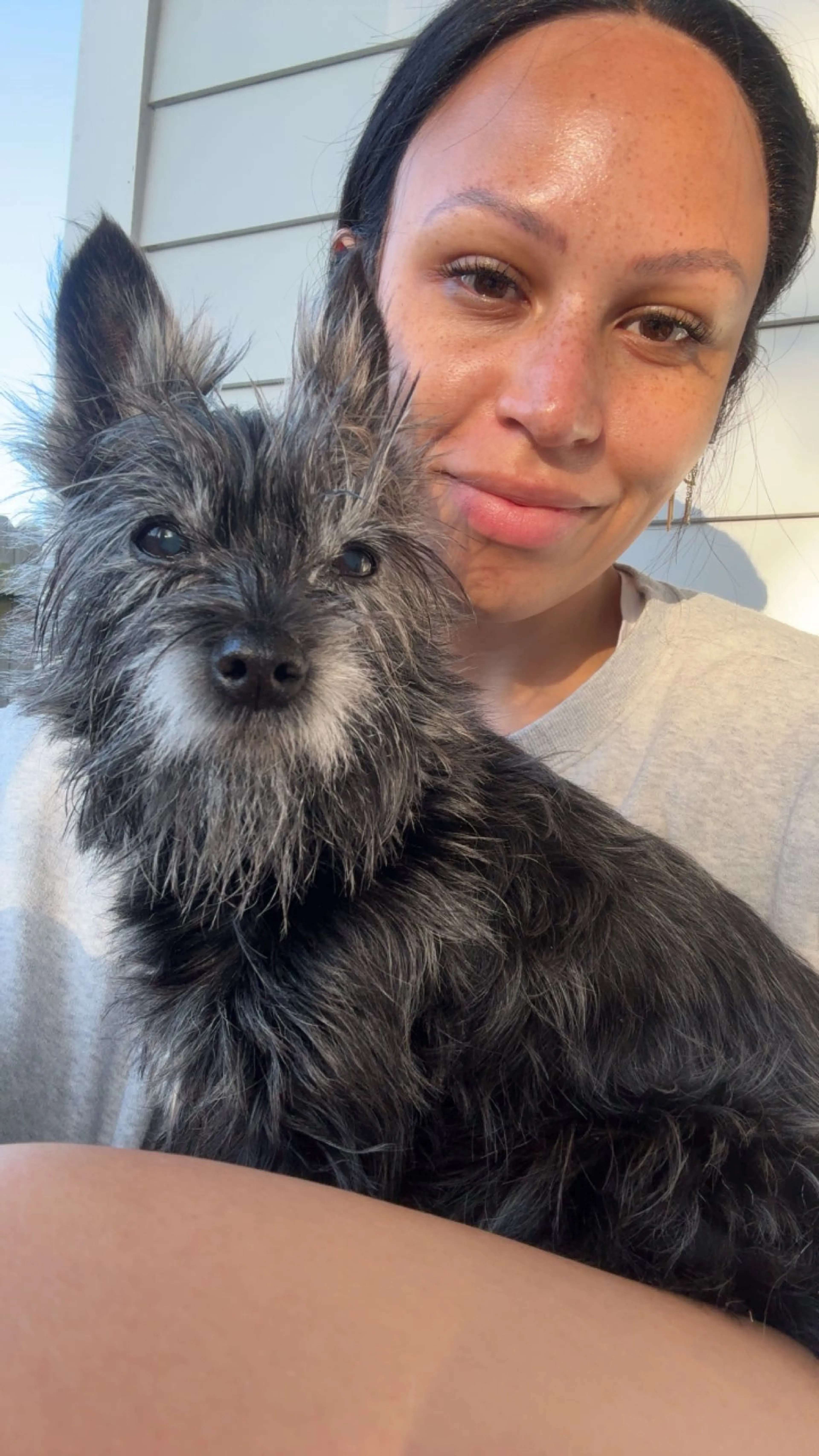 Lost pet