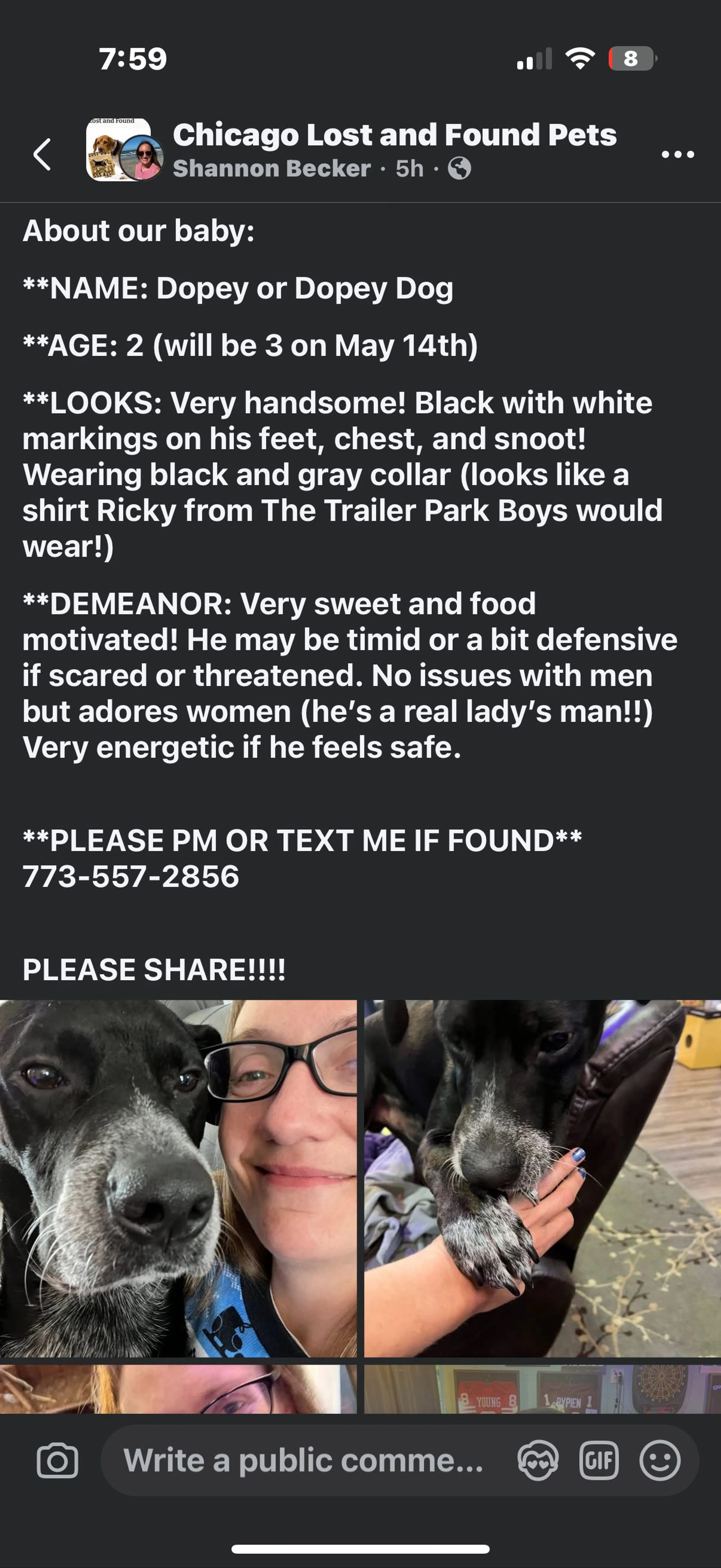 Lost pet