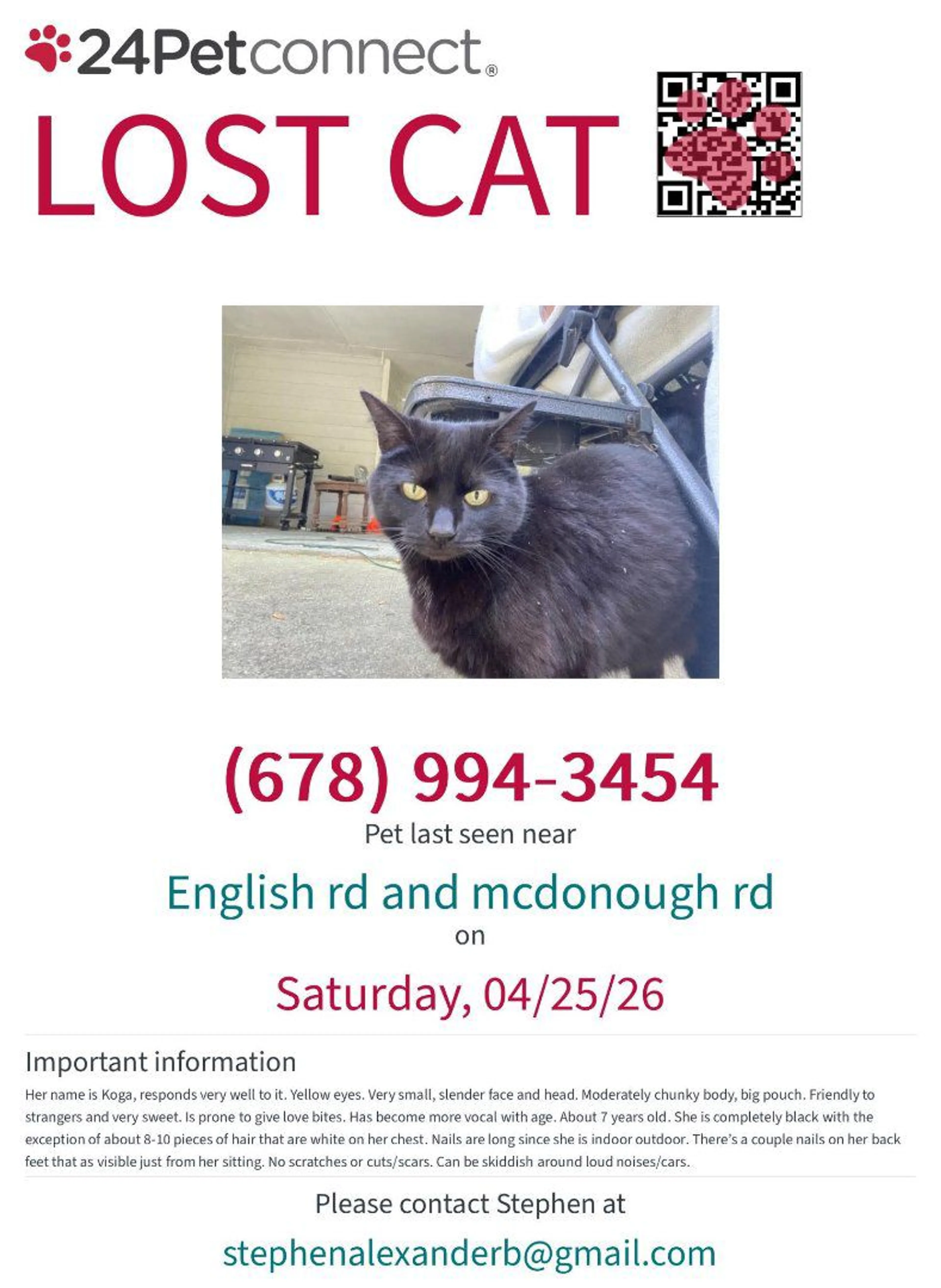 Lost pet