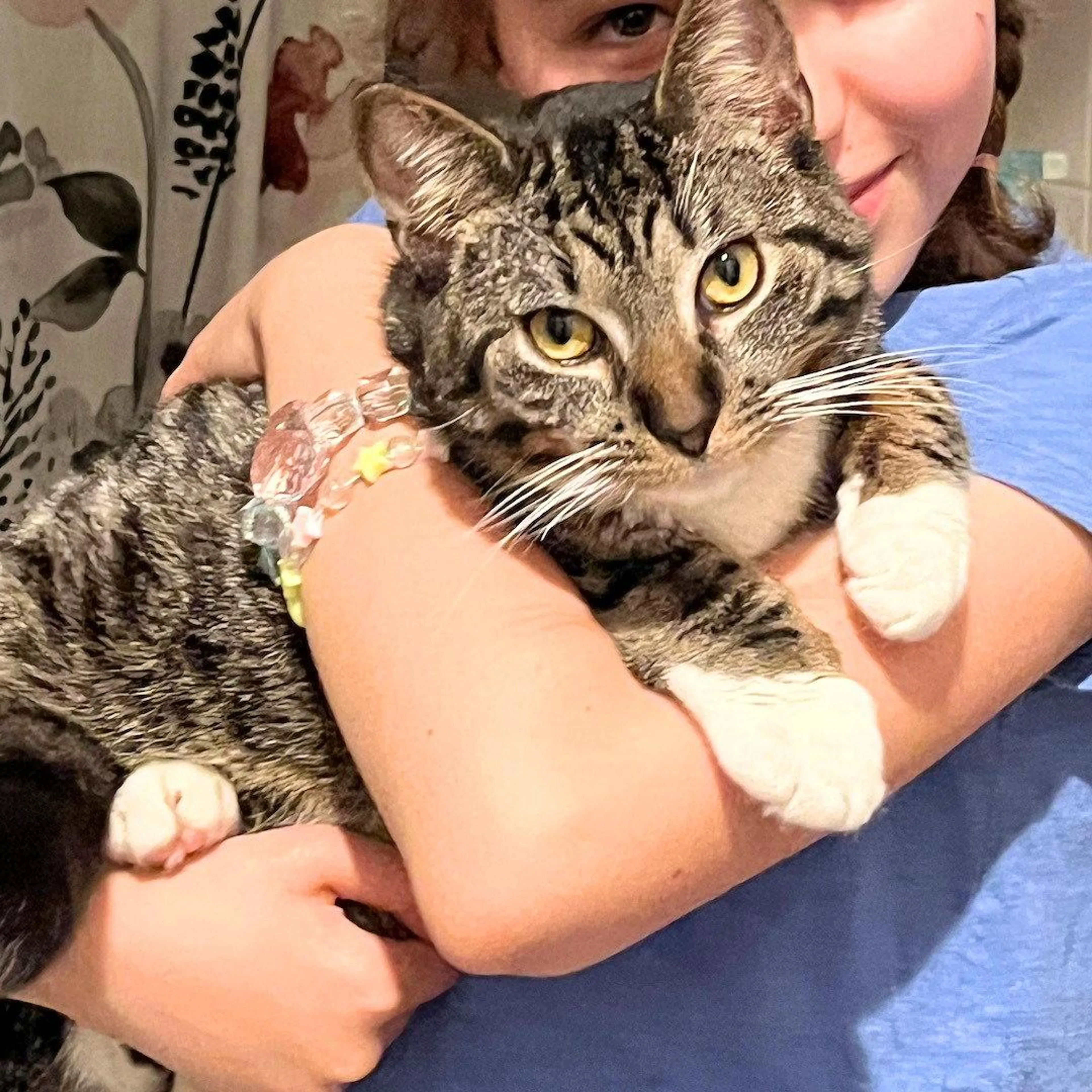 Found pet-2