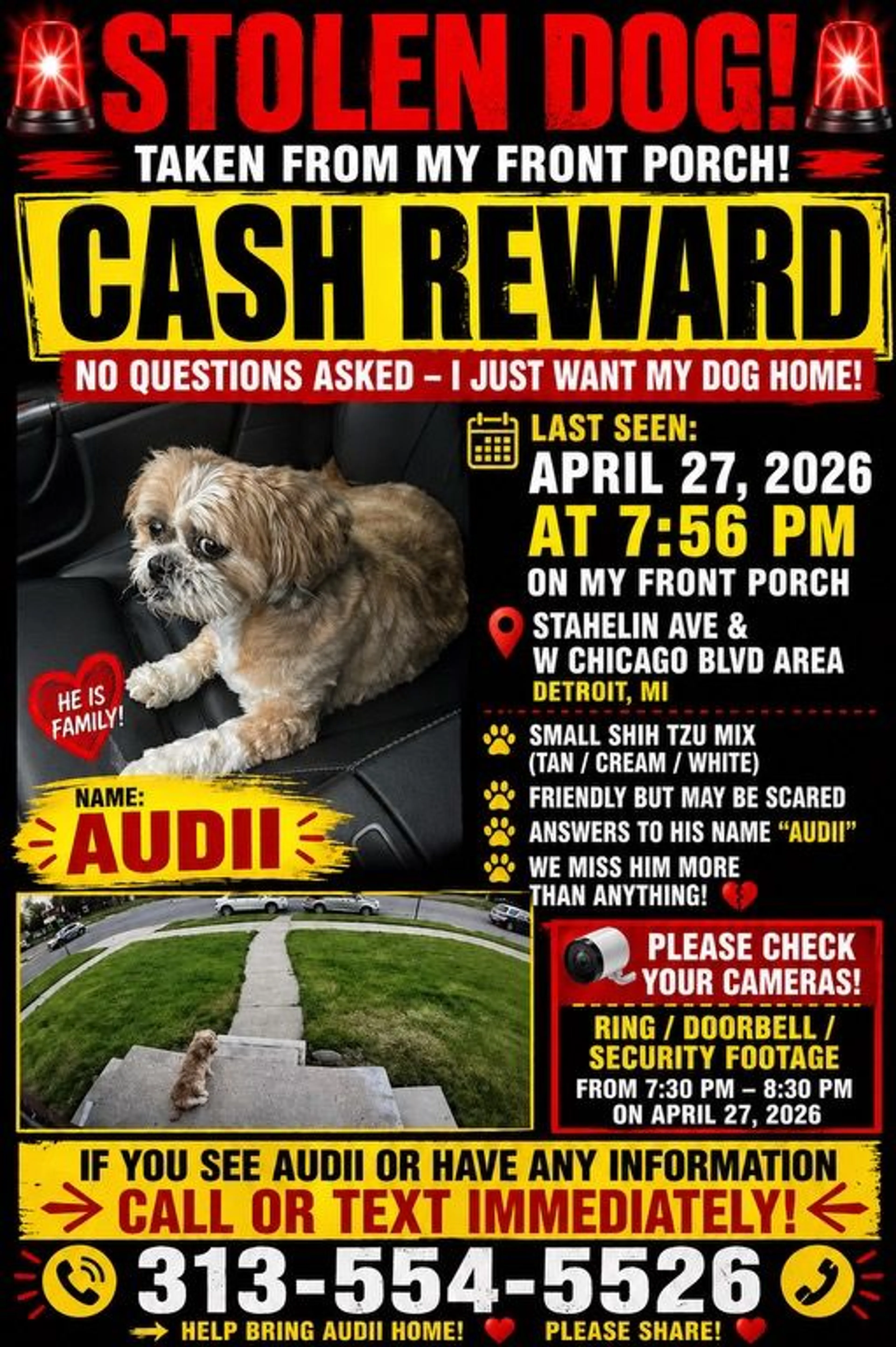 Lost pet
