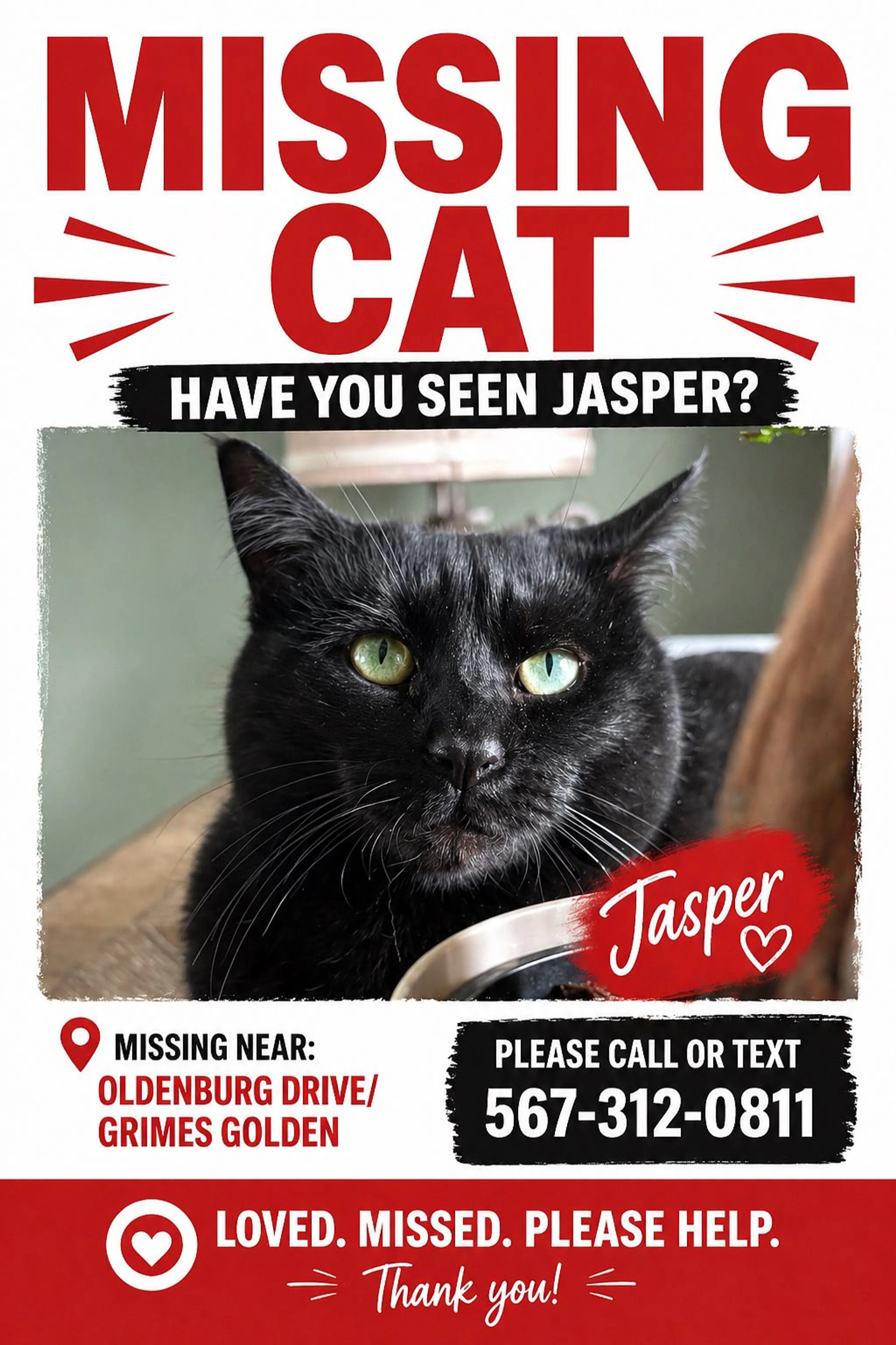 Lost pet