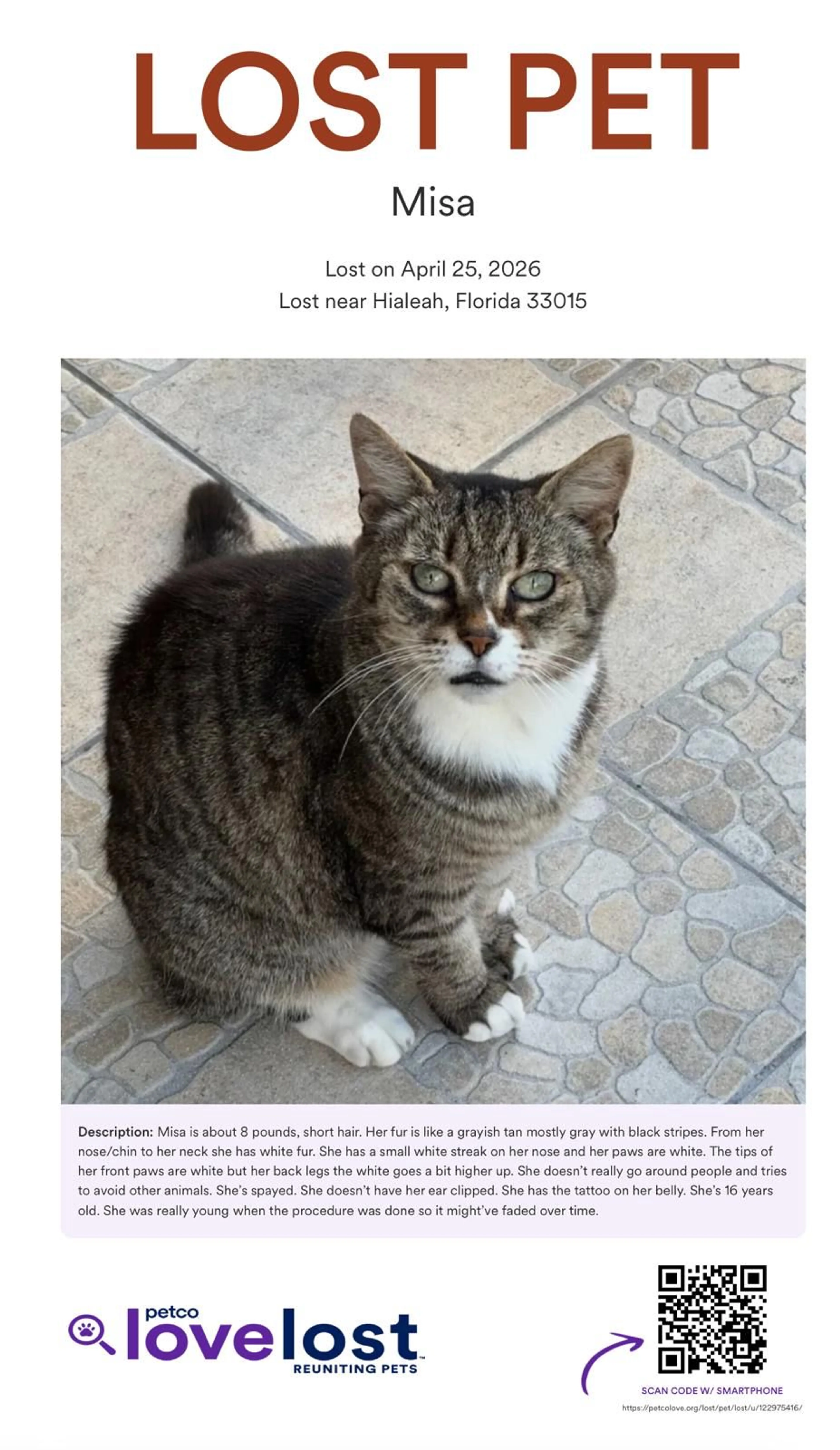 Lost pet