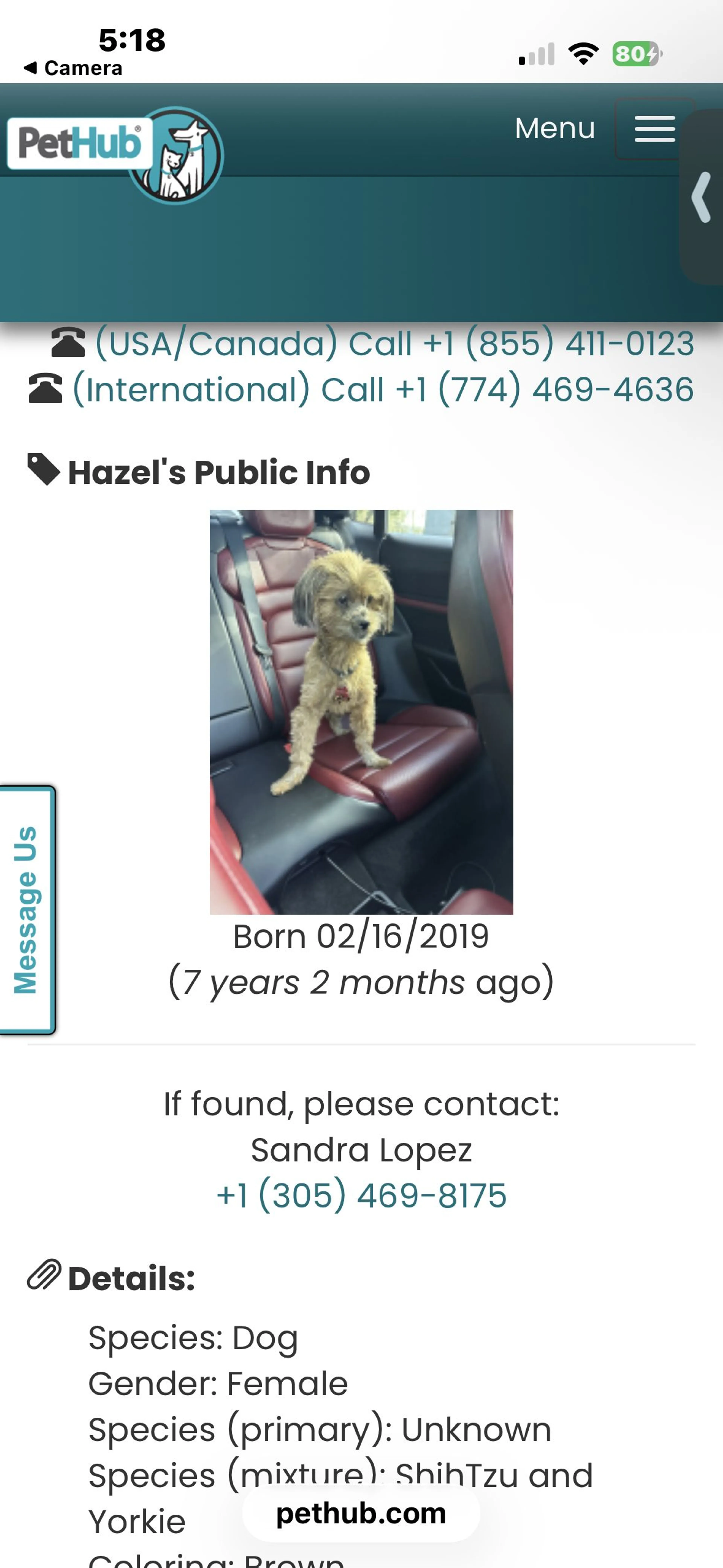 Lost pet-0
