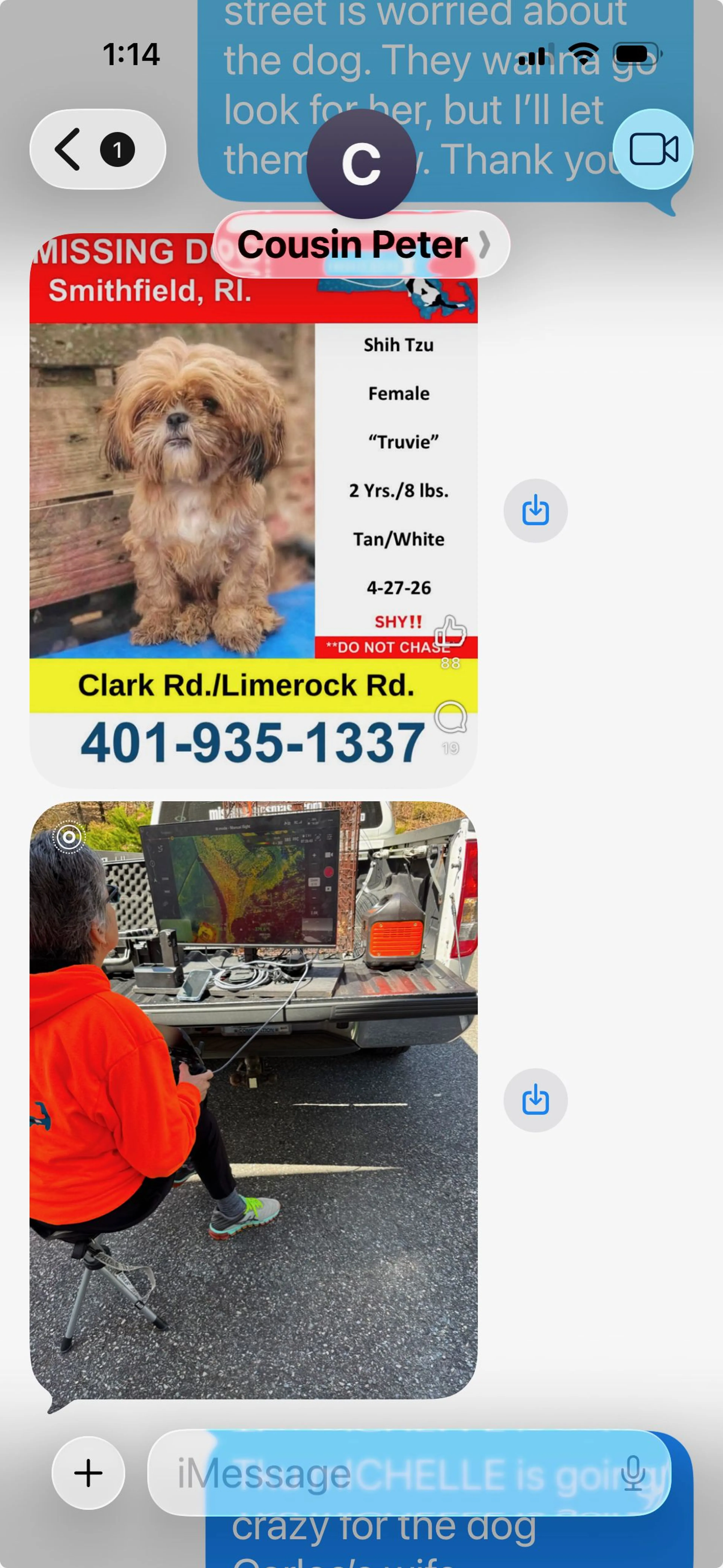 Lost pet