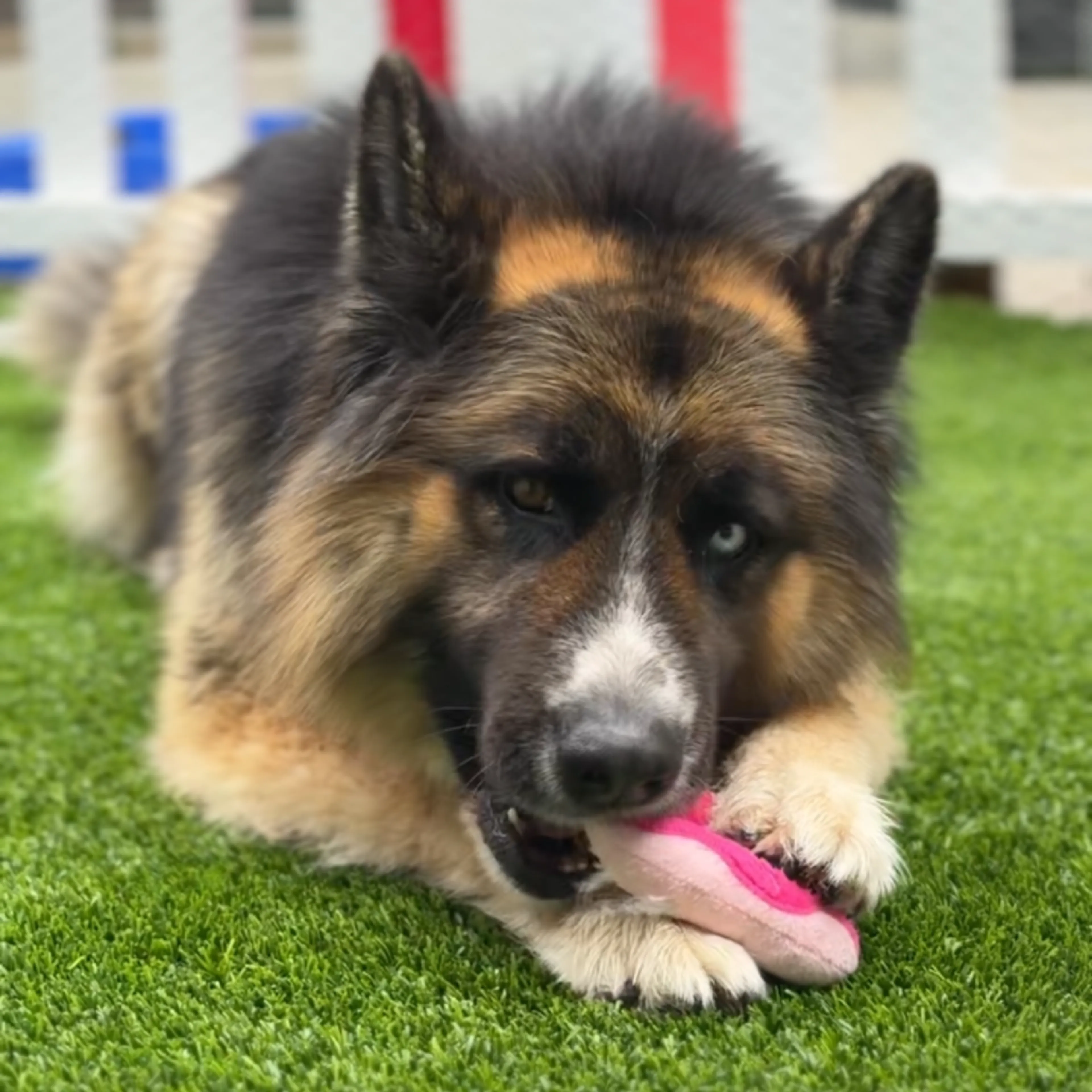 -9