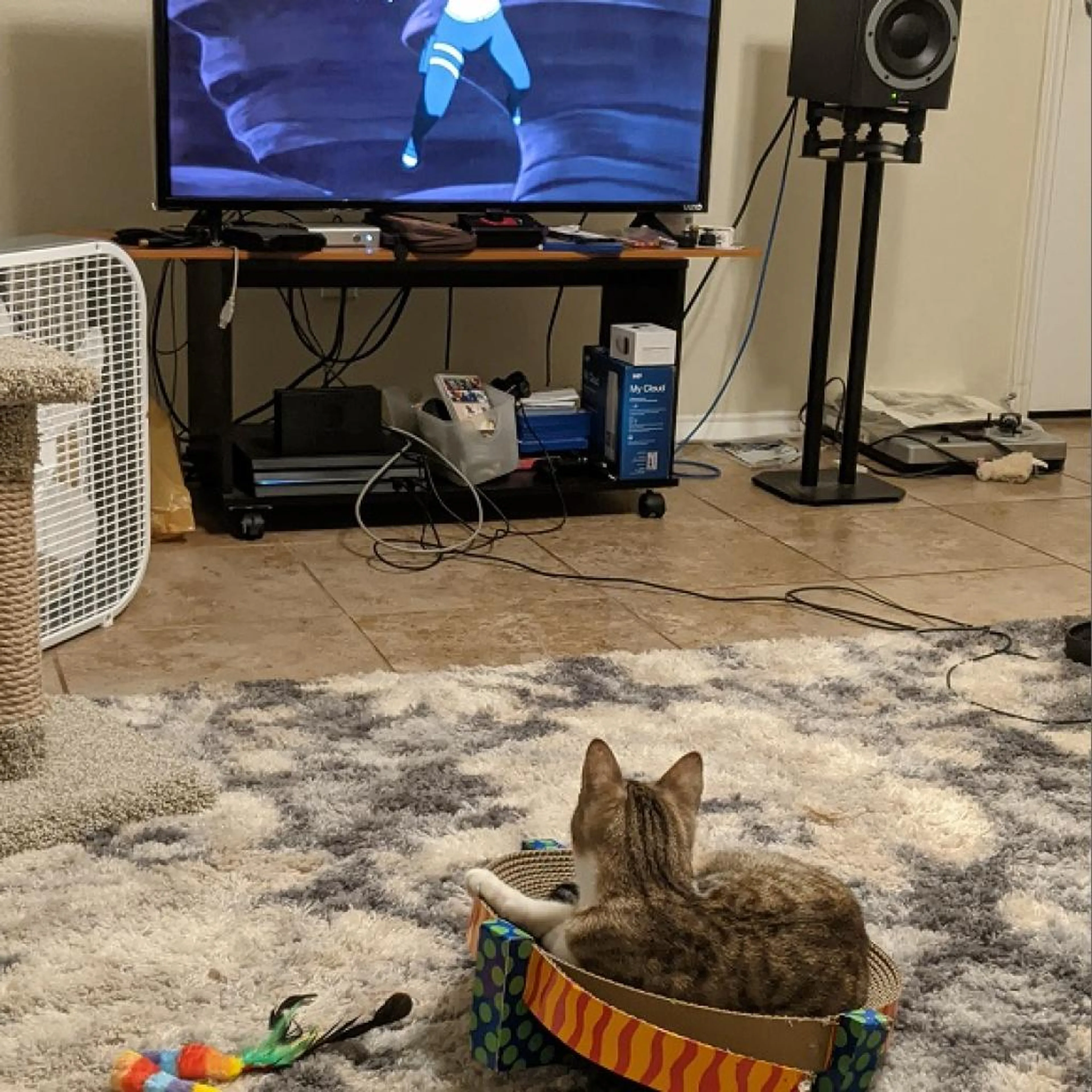 Found pet-4