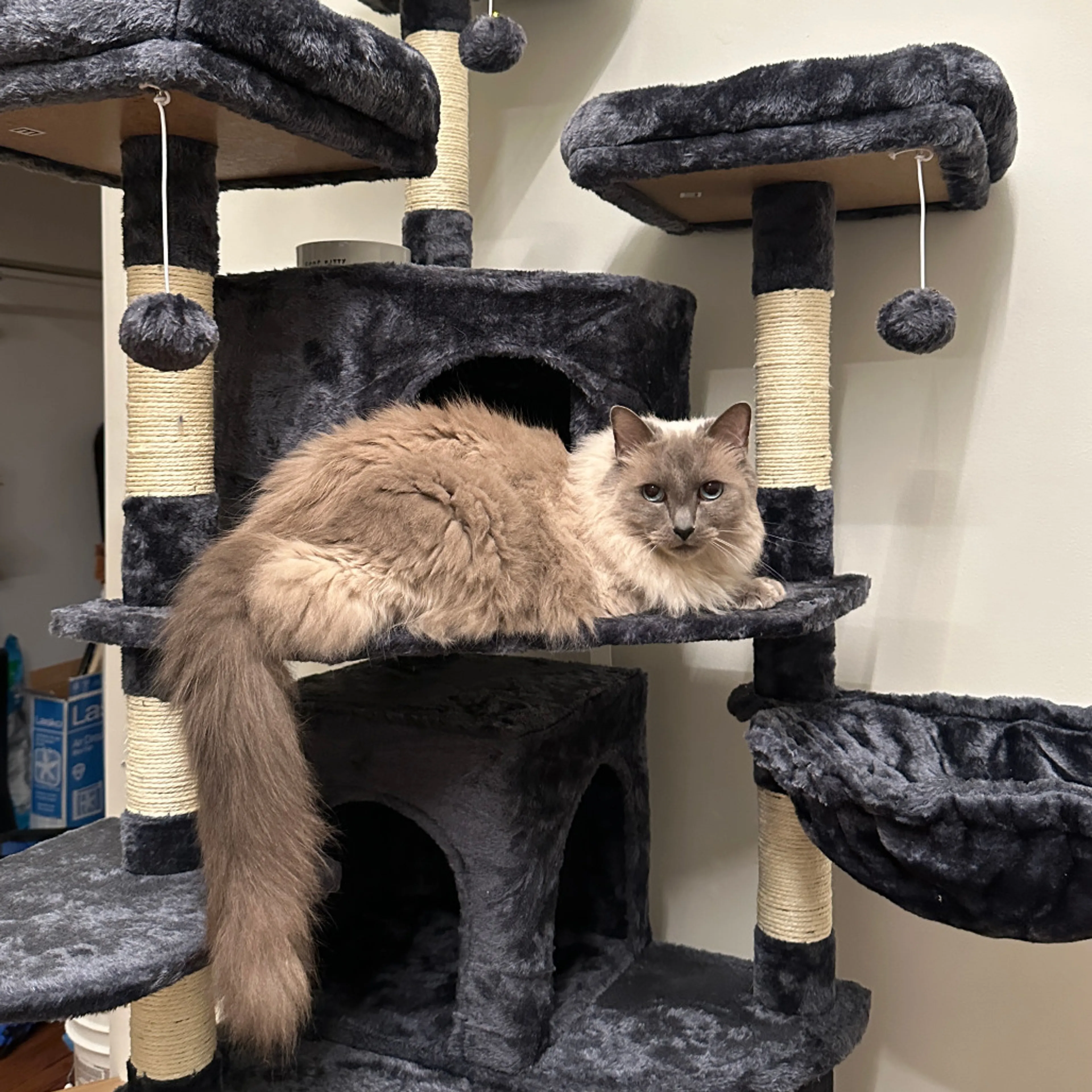 -2