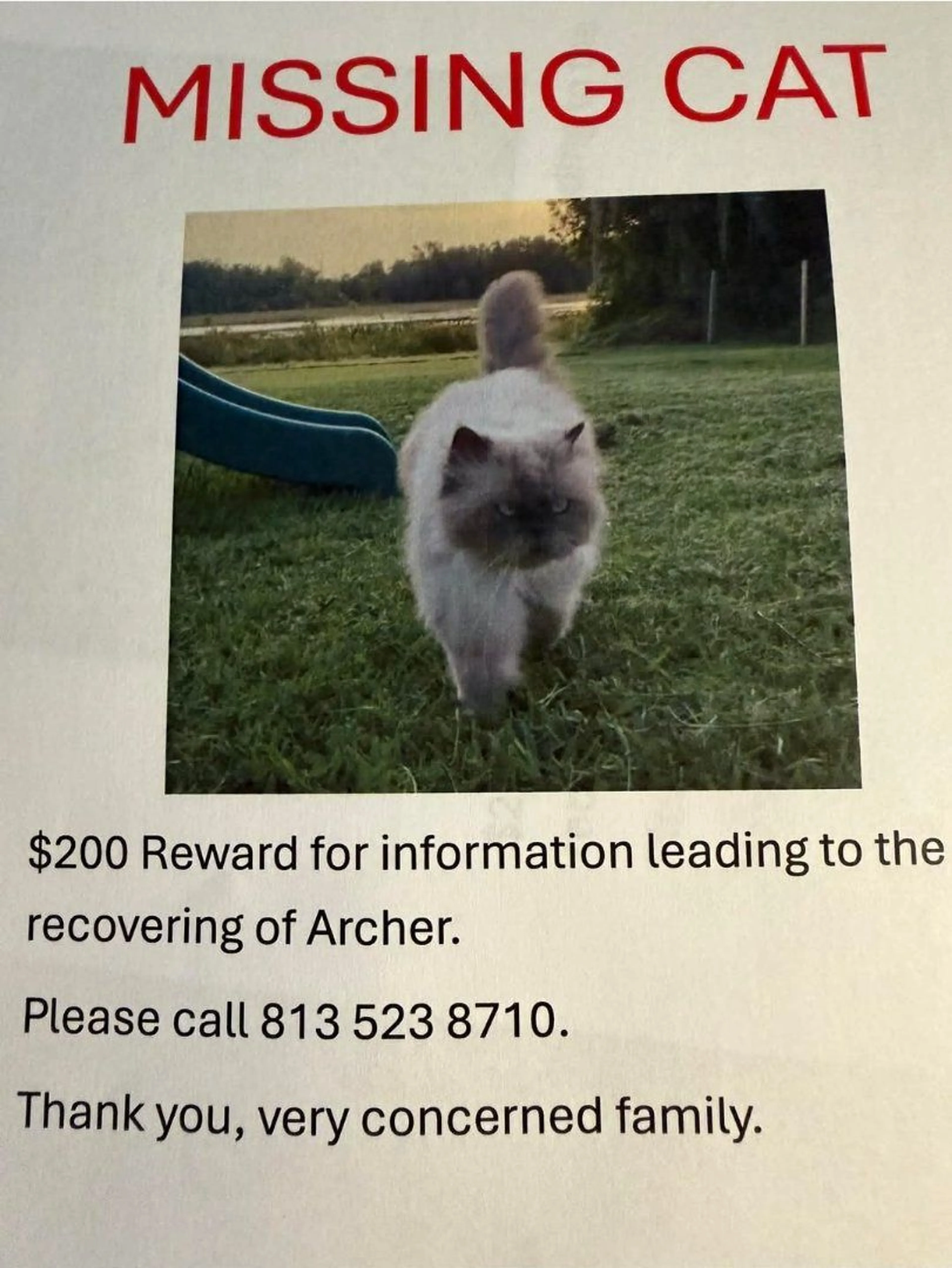 Lost pet