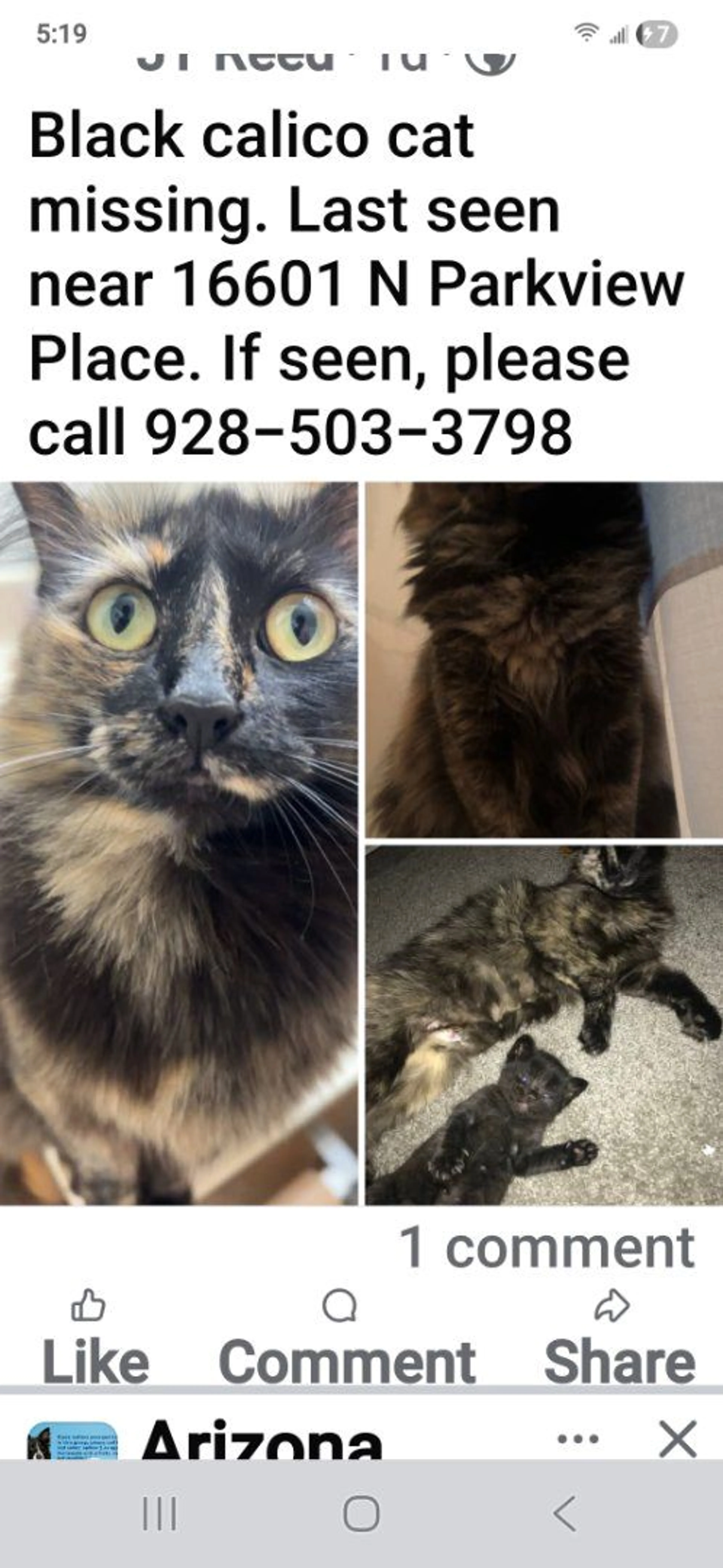Lost pet