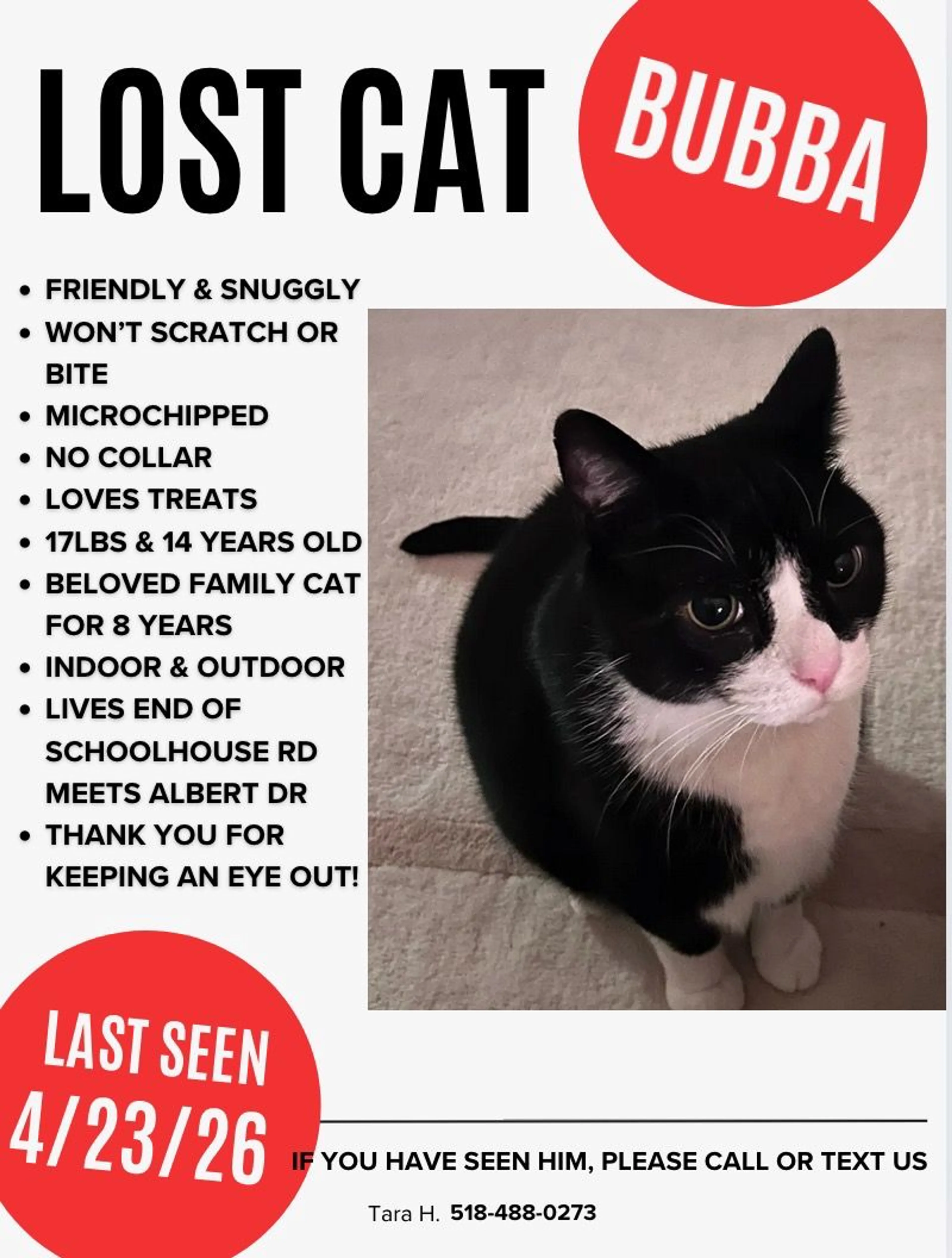 Lost pet