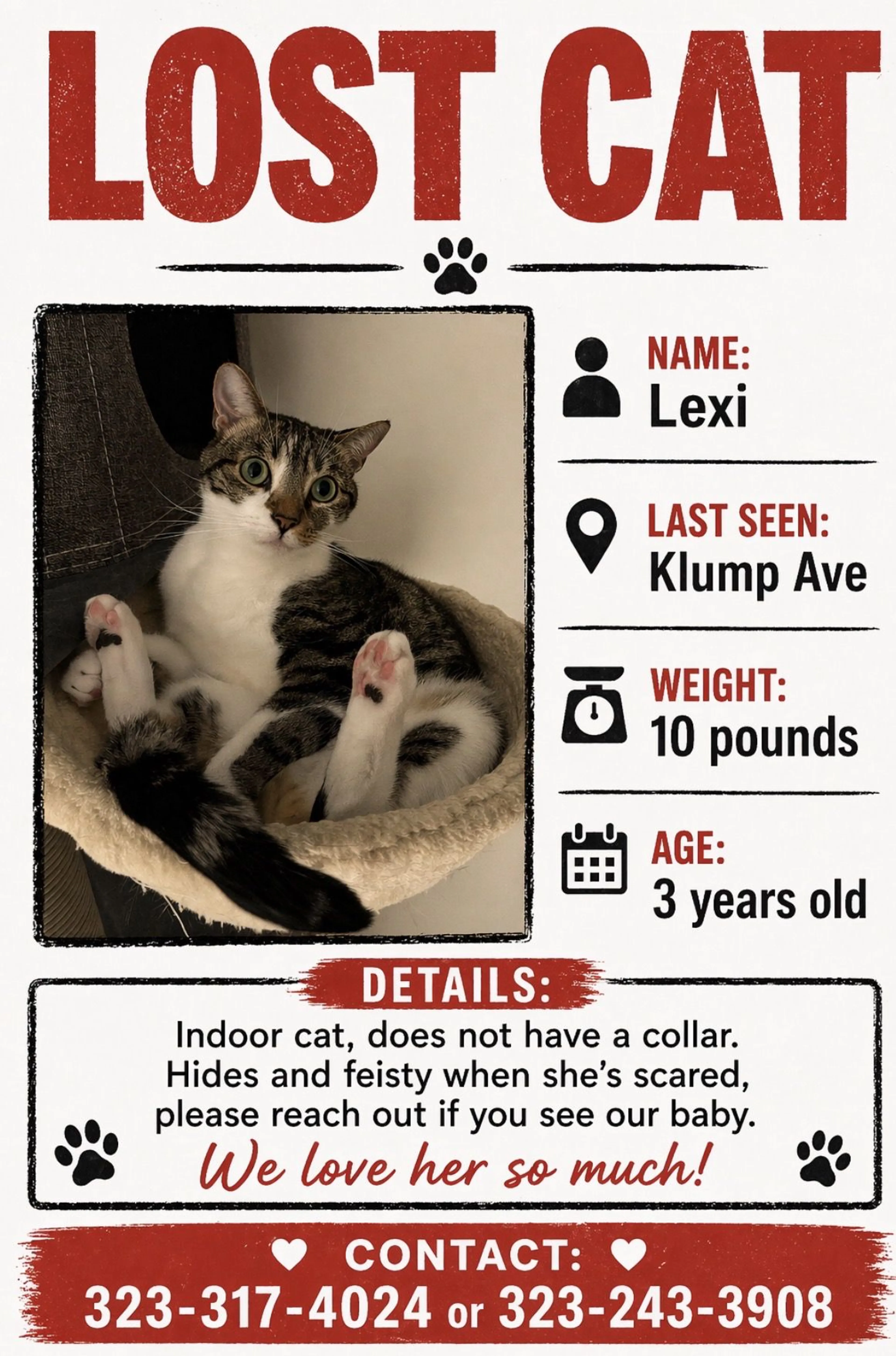 Lost pet