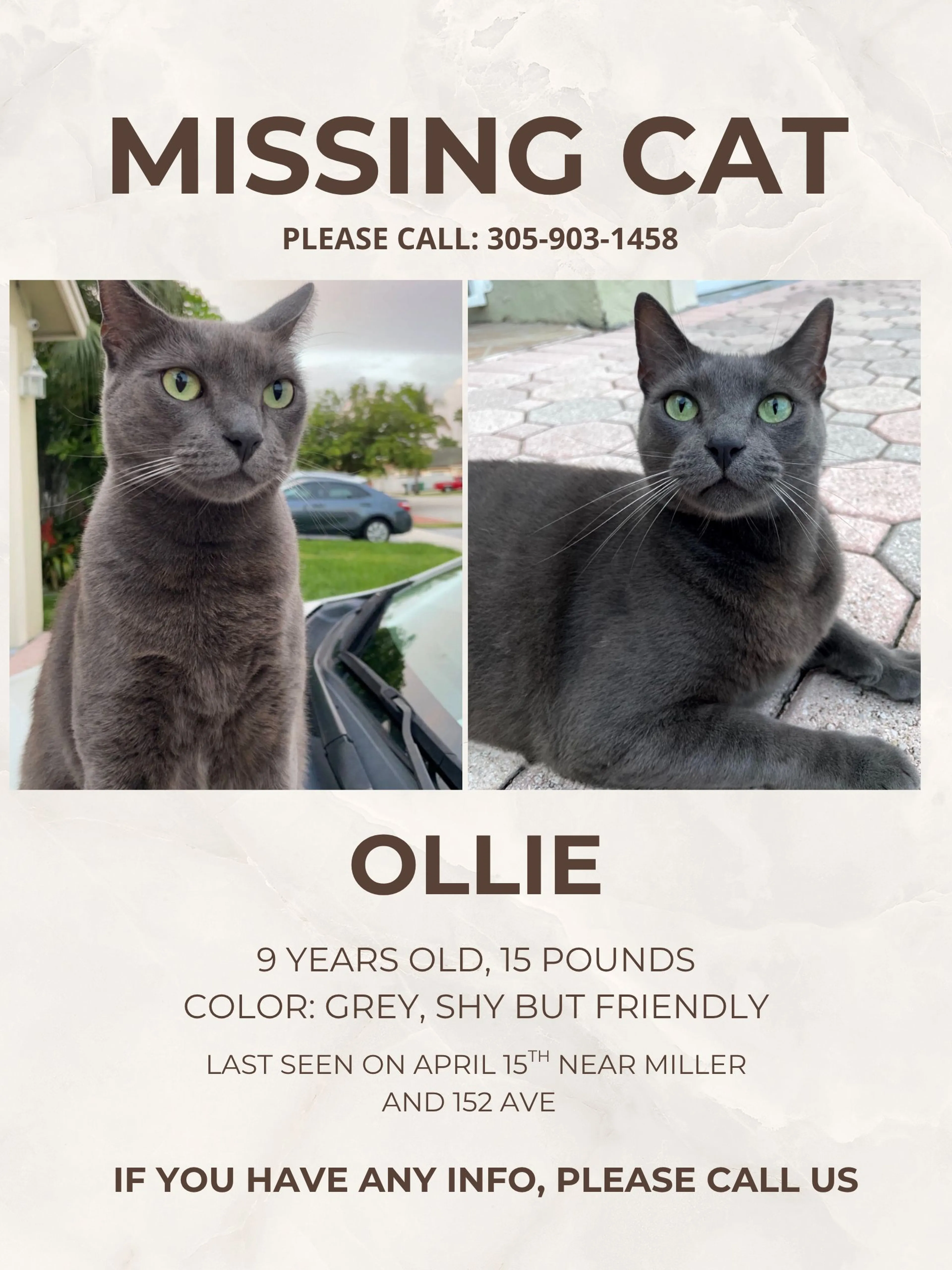 Lost pet