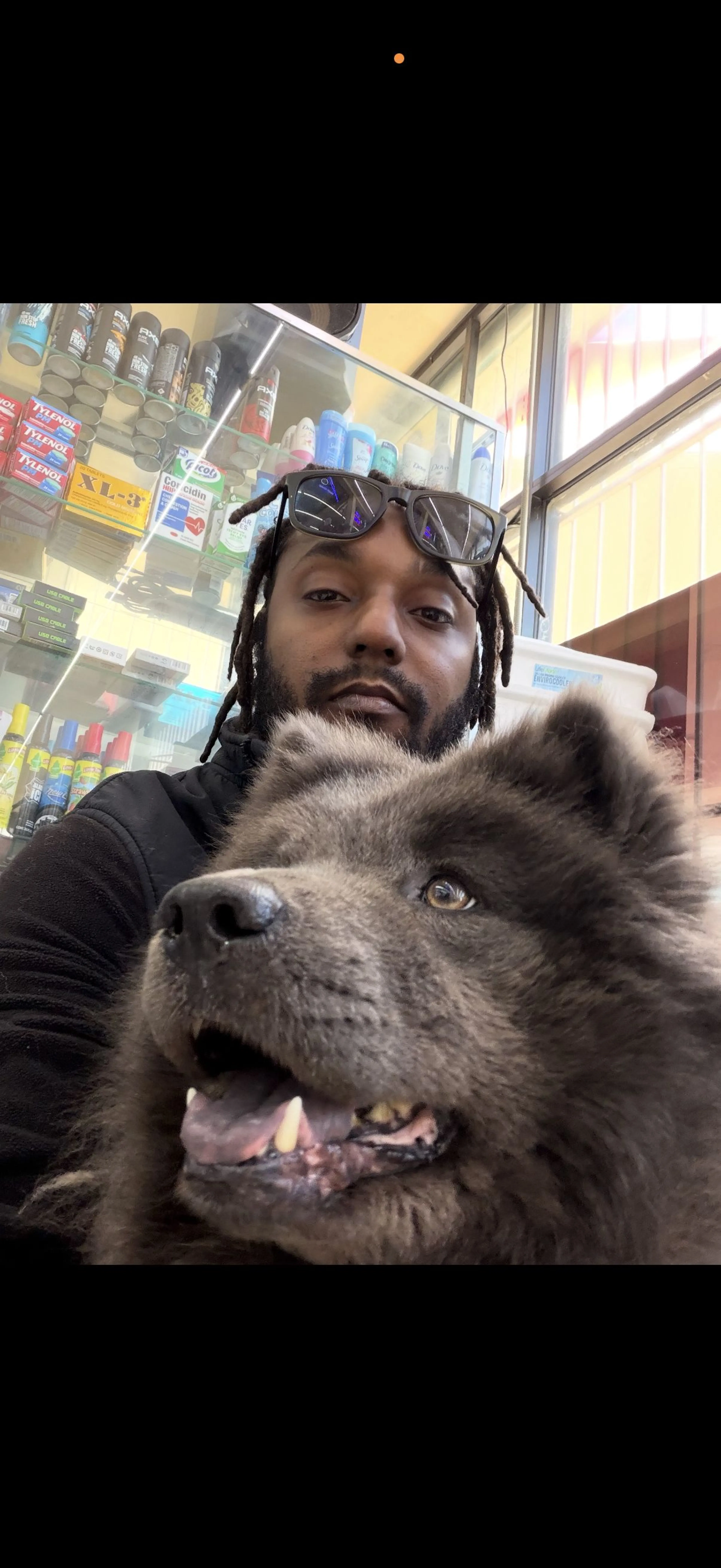 Lost pet
