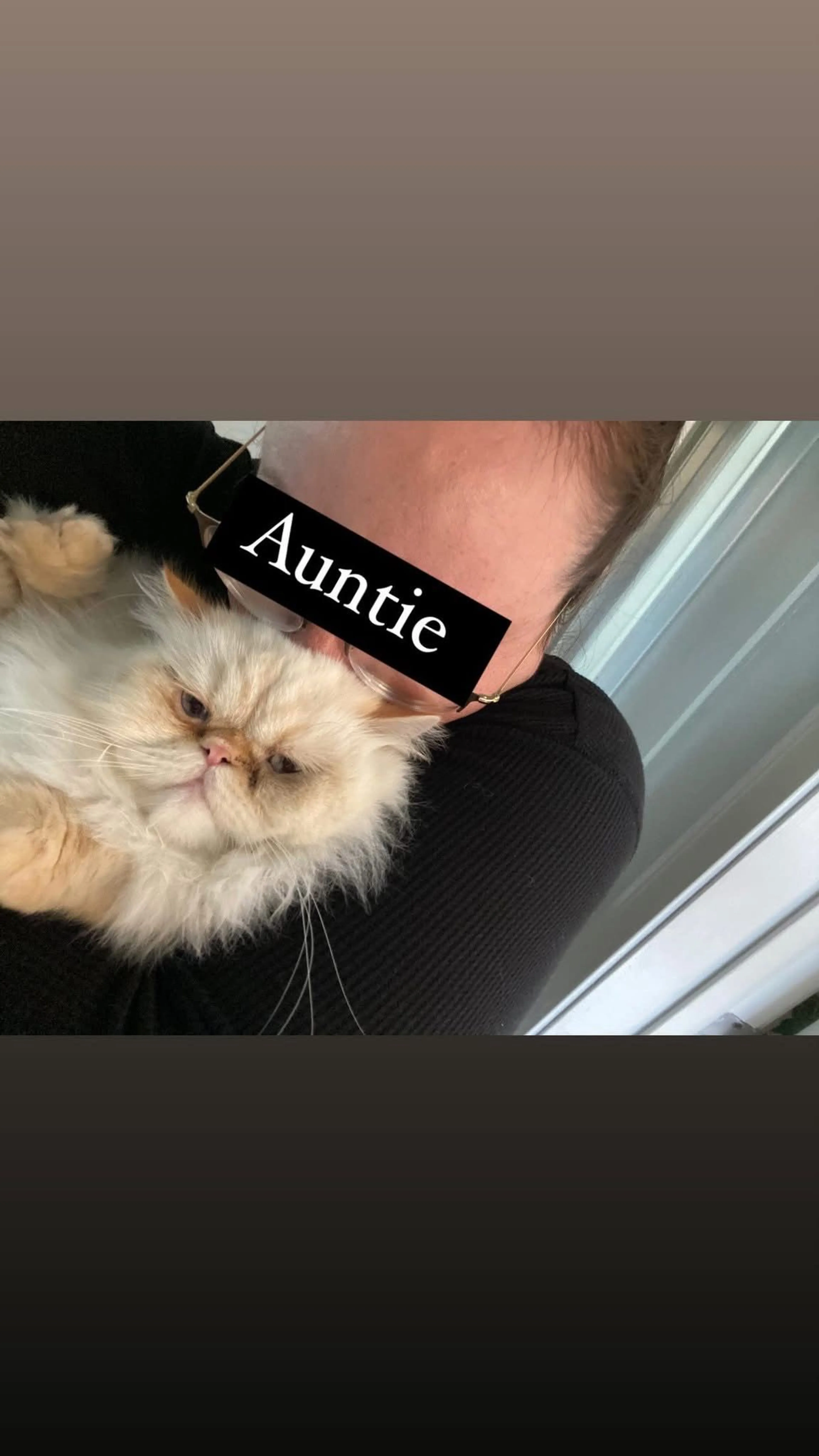 Lost pet