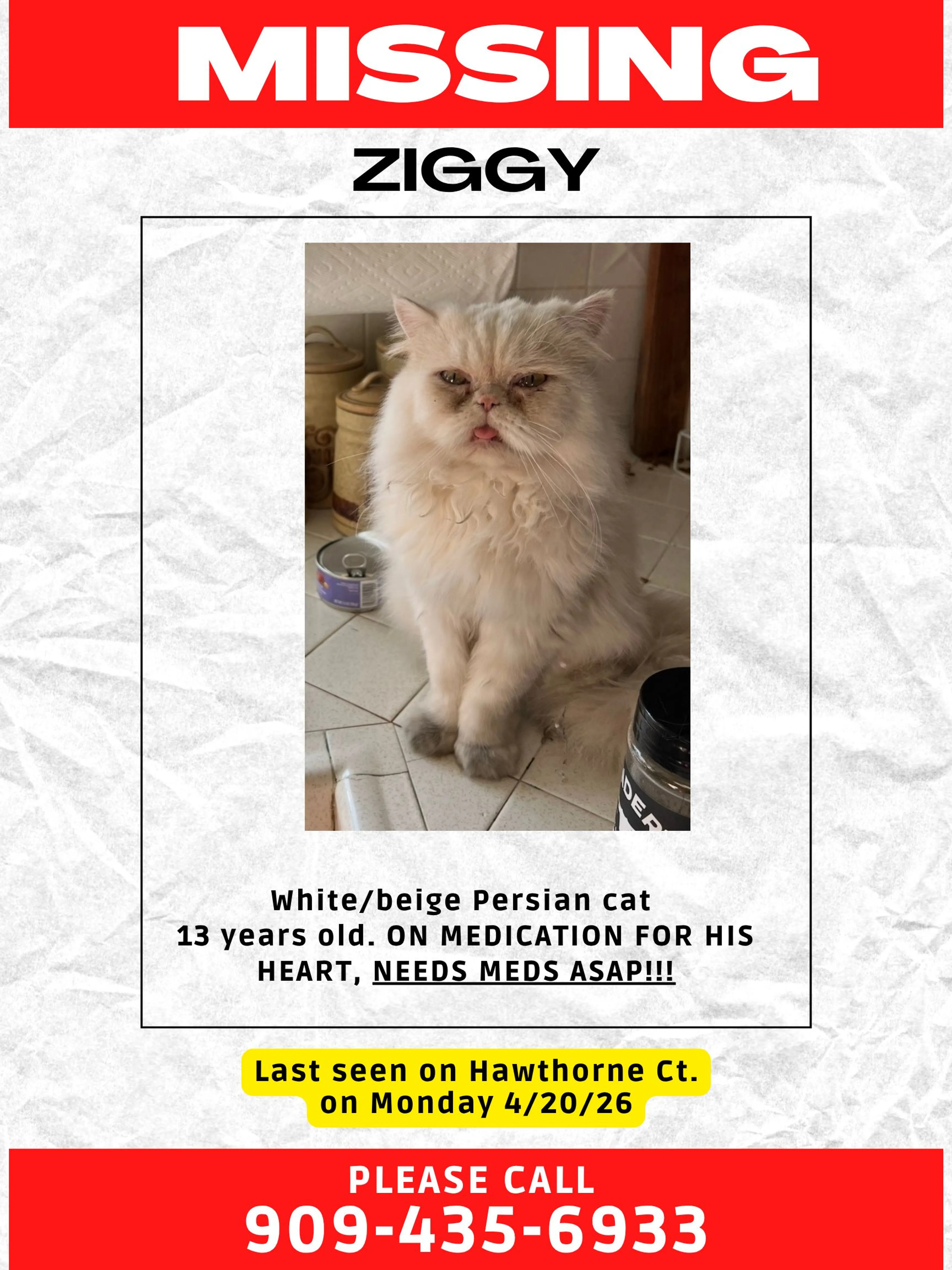 Lost pet