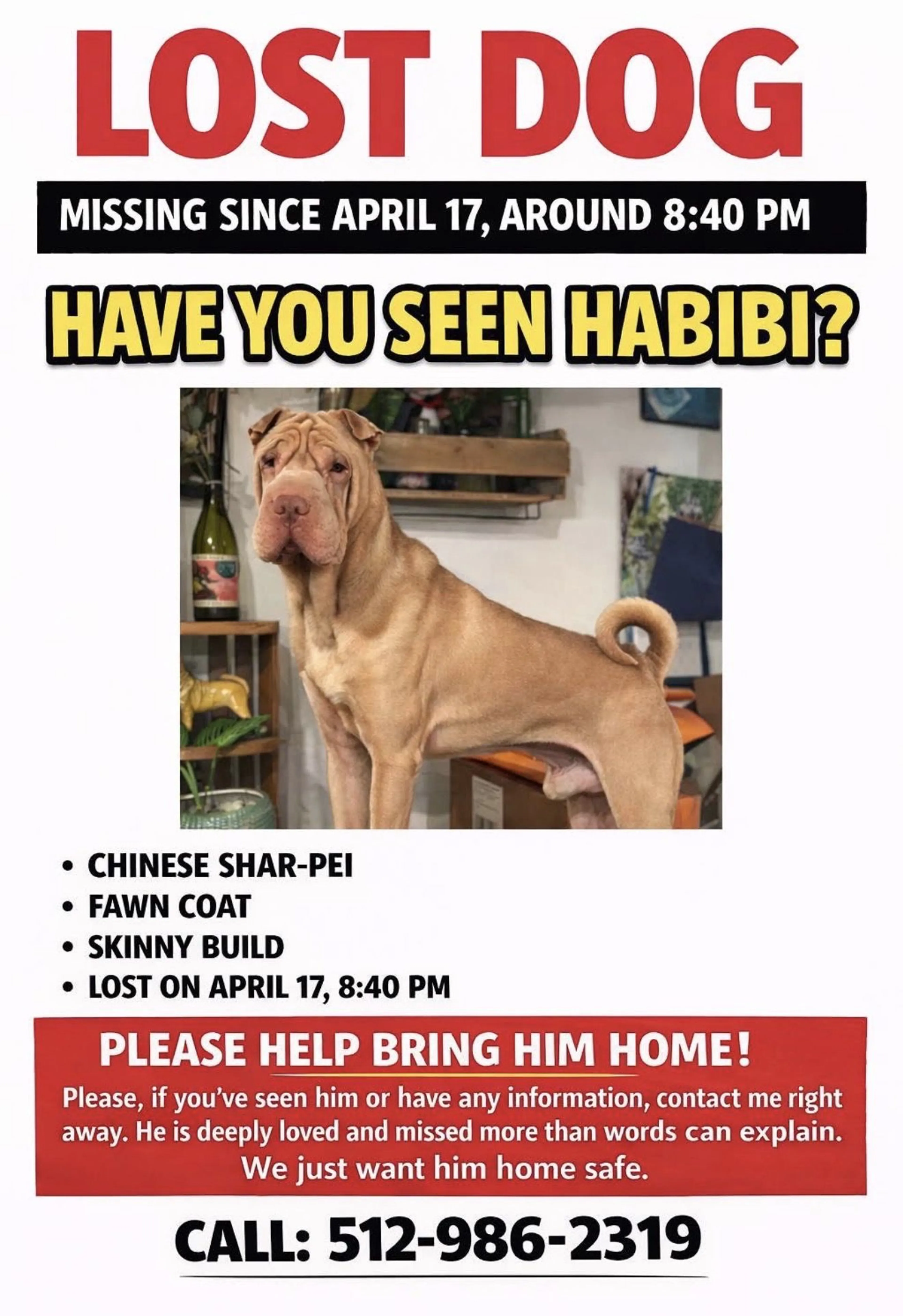 Lost pet
