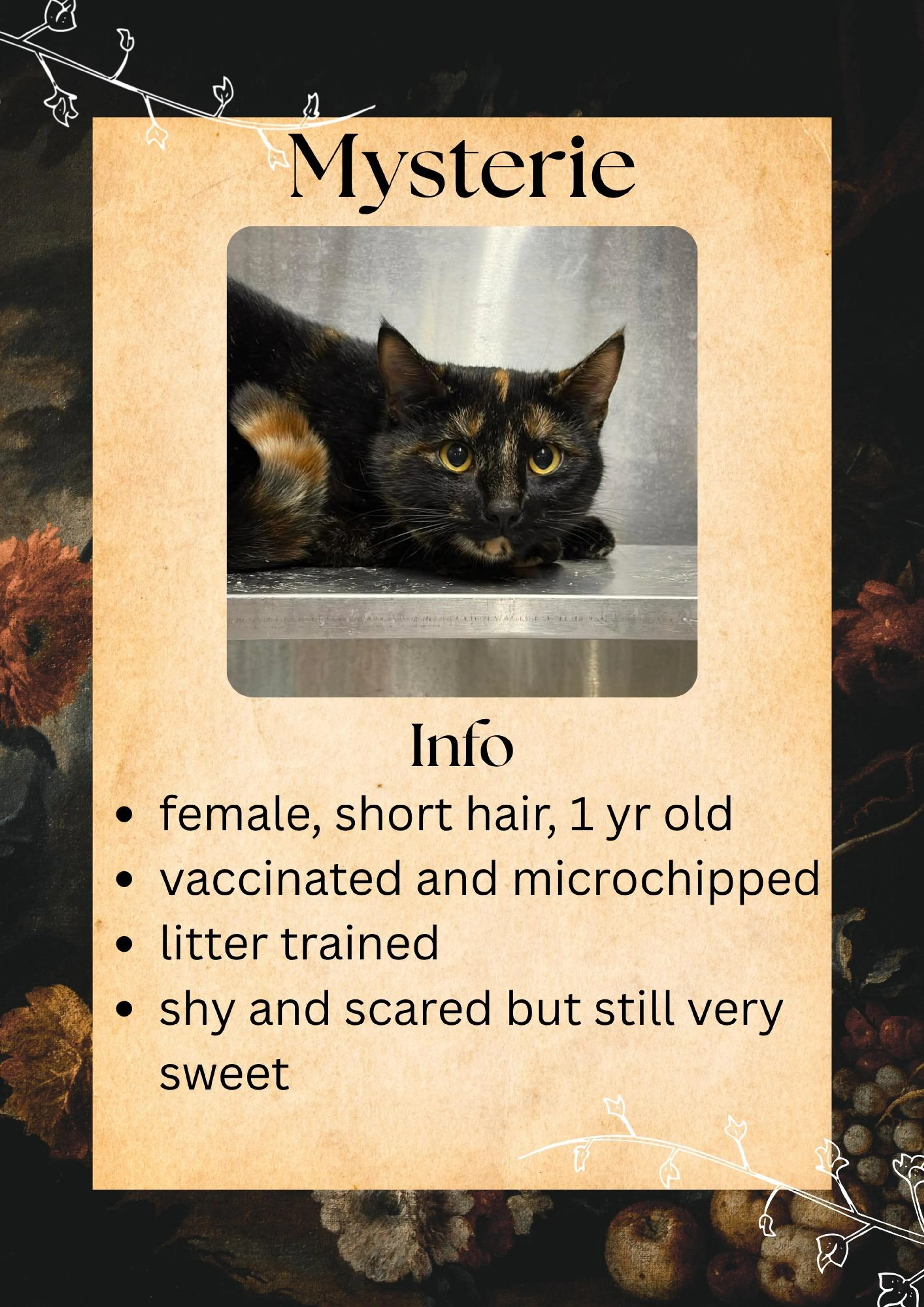 Found pet