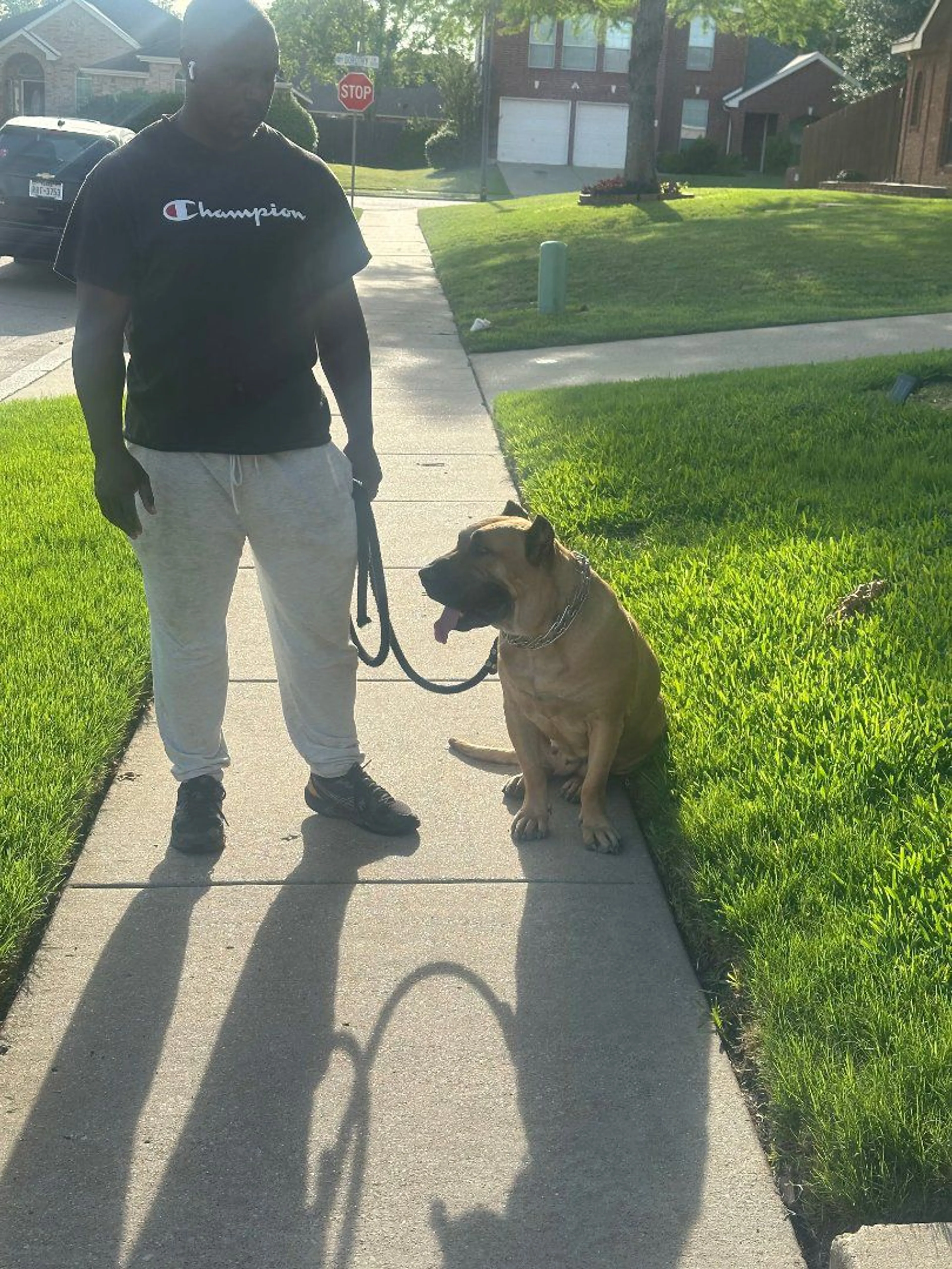 Lost pet