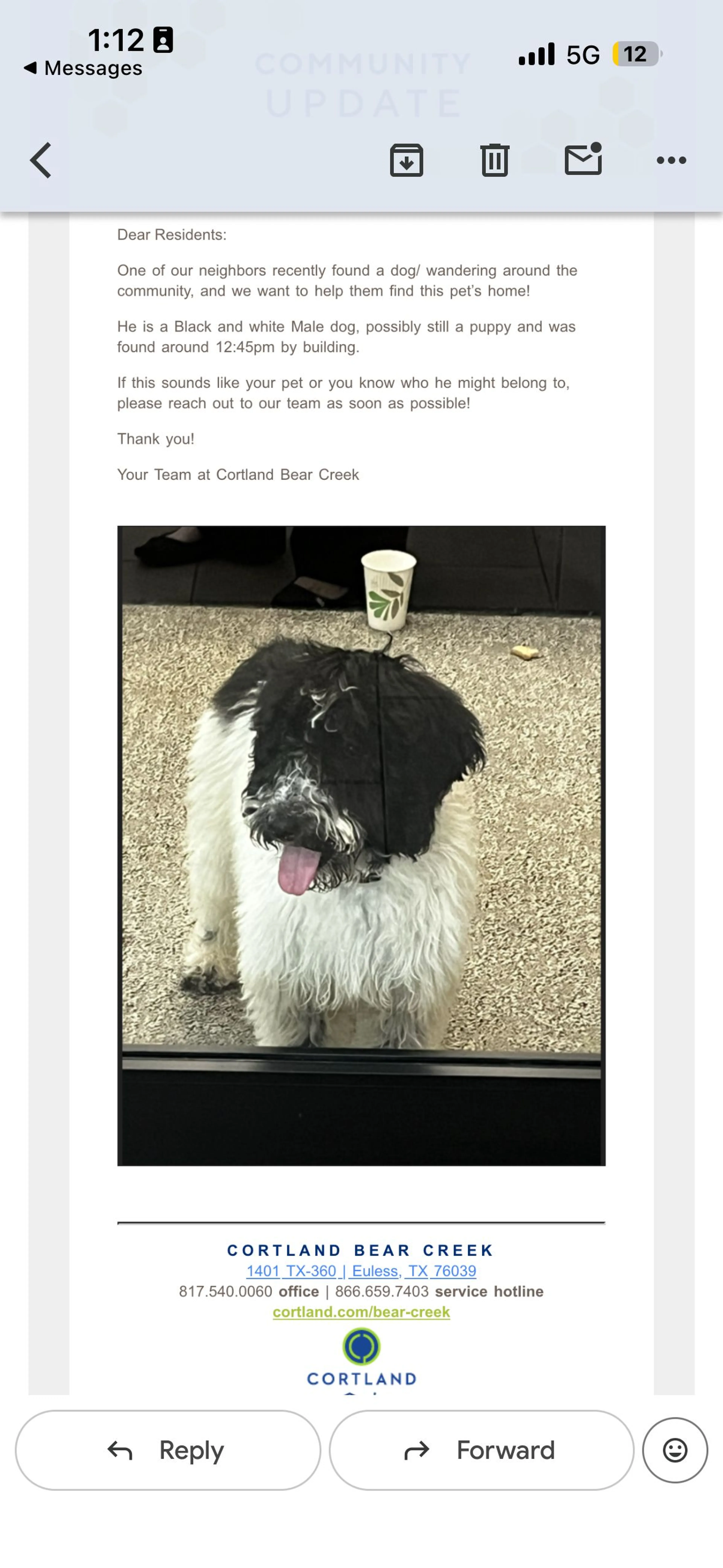 Lost pet