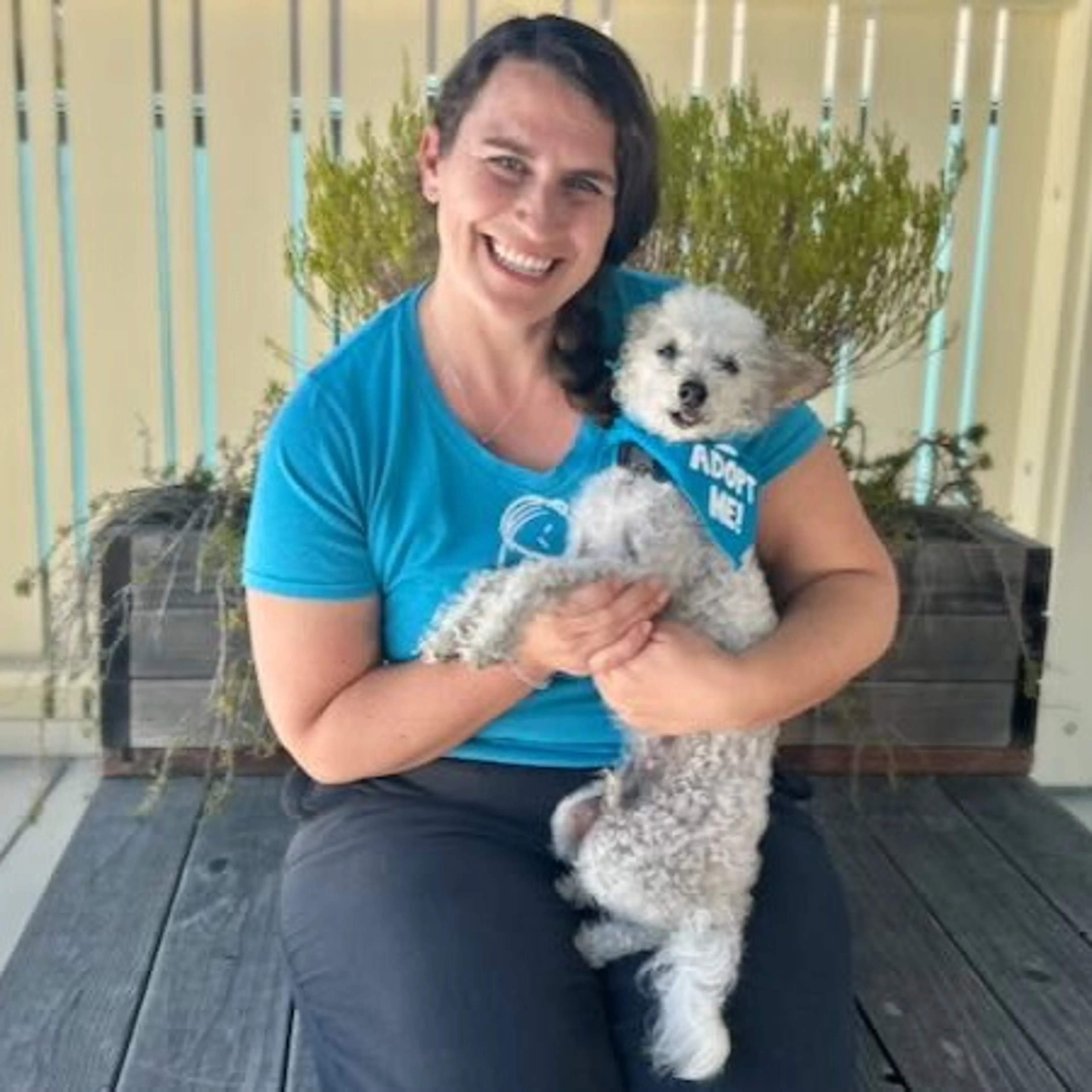 cdn image