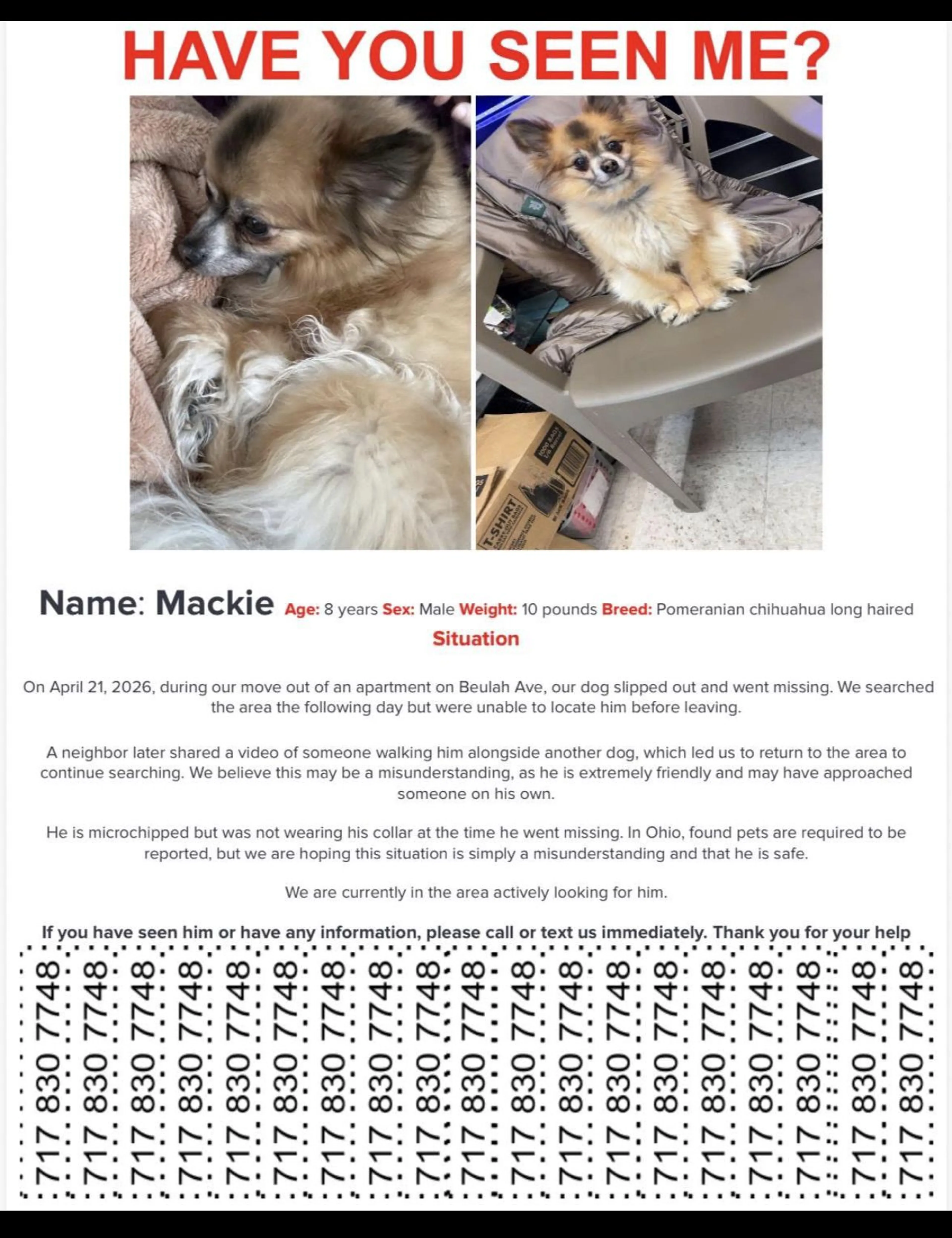 Lost pet