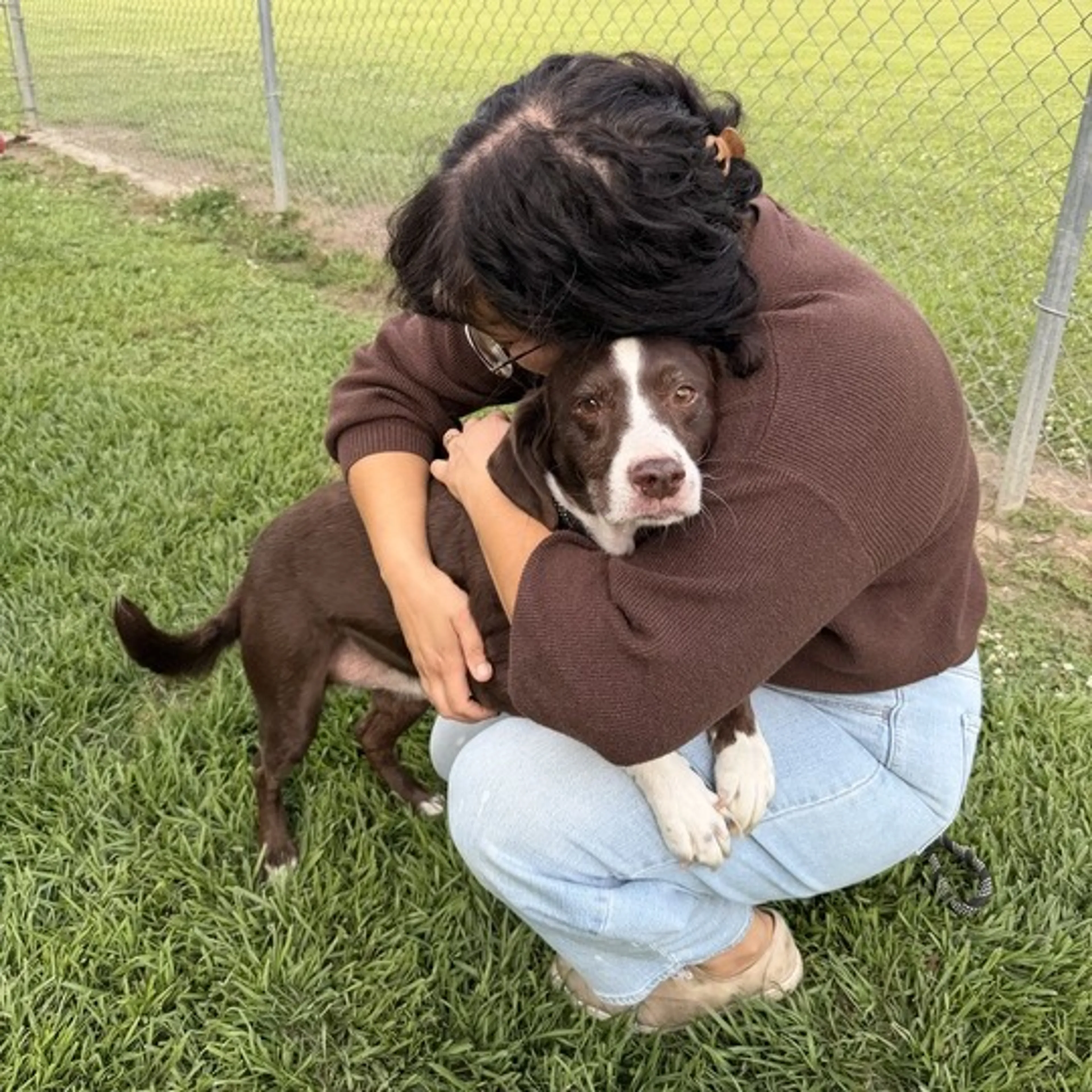 Found pet-4