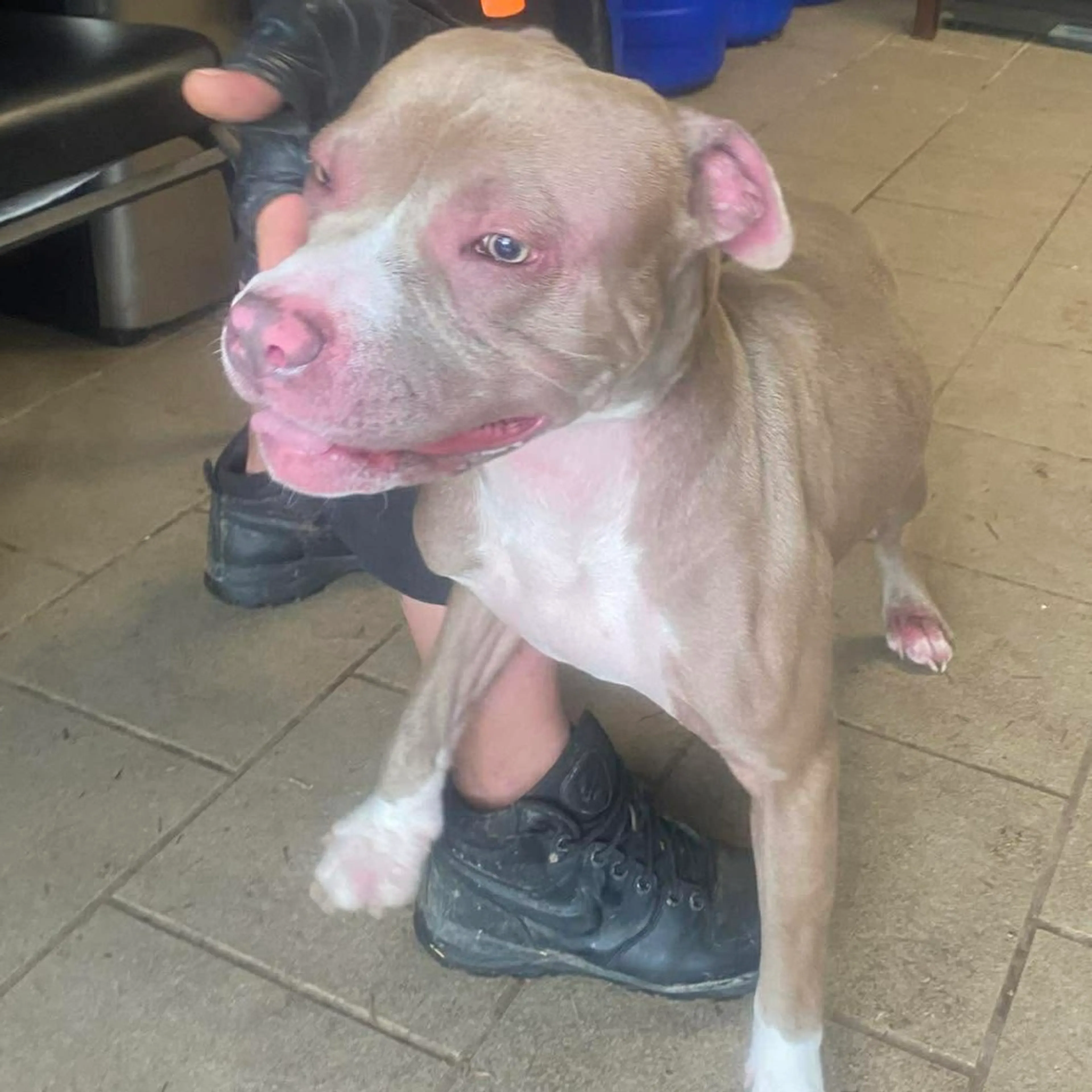 -1